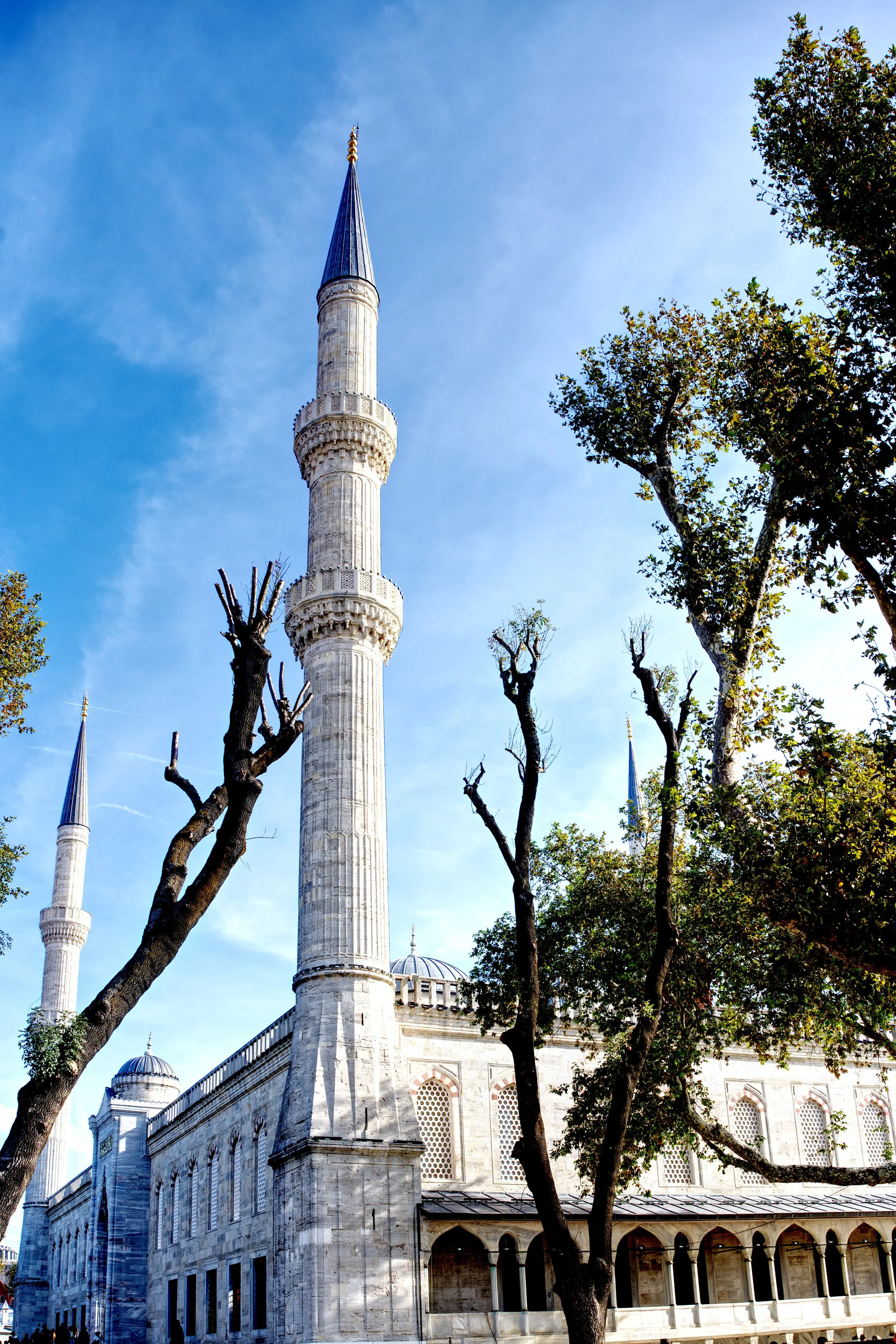 A7401397_BlueMosque.jpg
