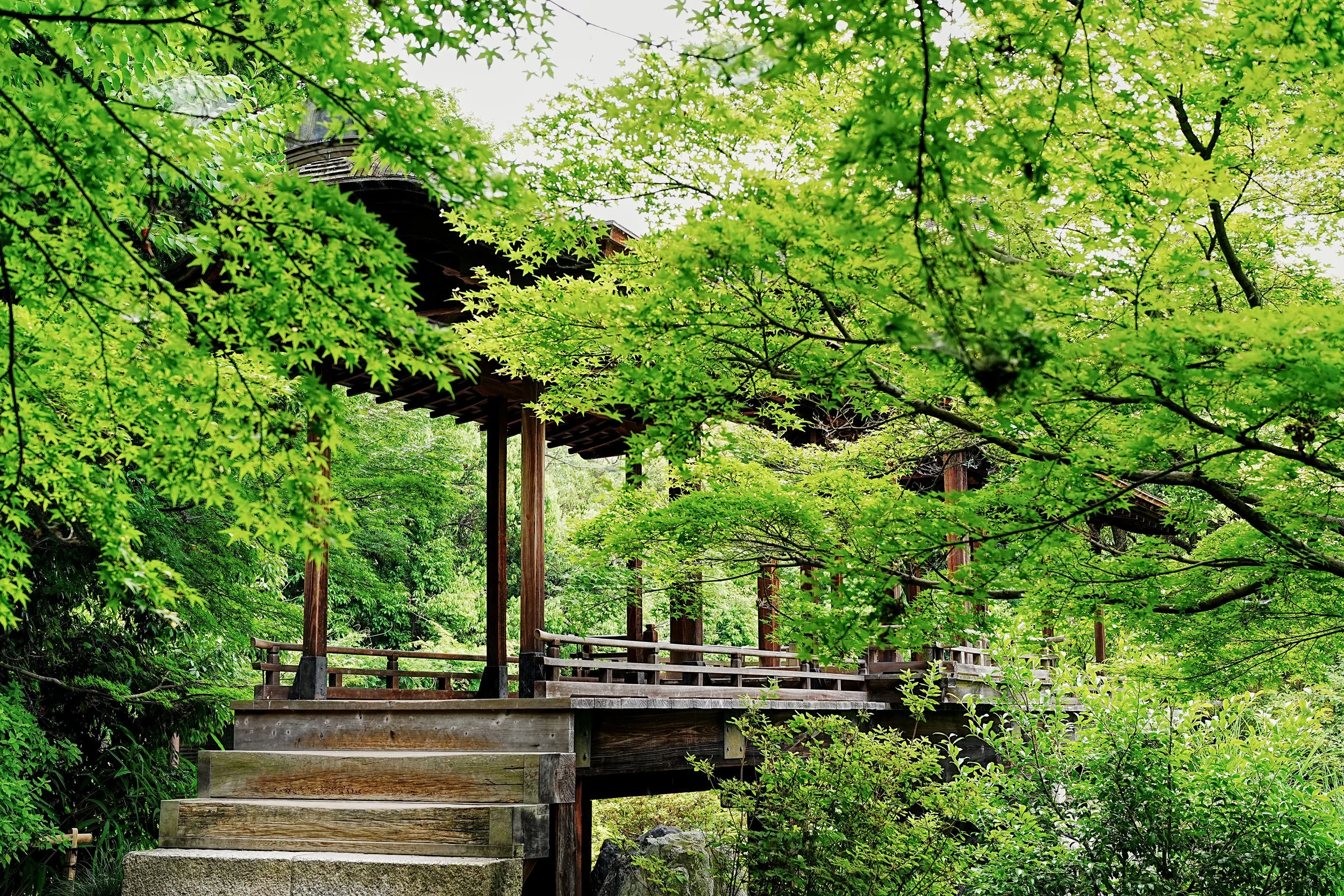 D2_KShoseienGarden_A7V01693.jpg