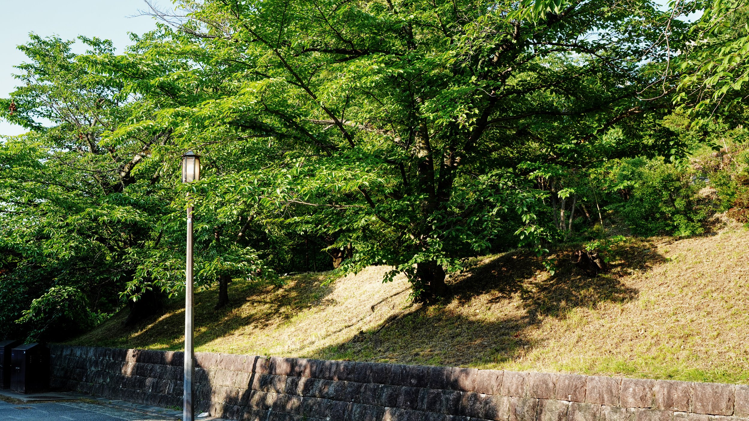 D1_GionStreetLight_A7V01566.jpg