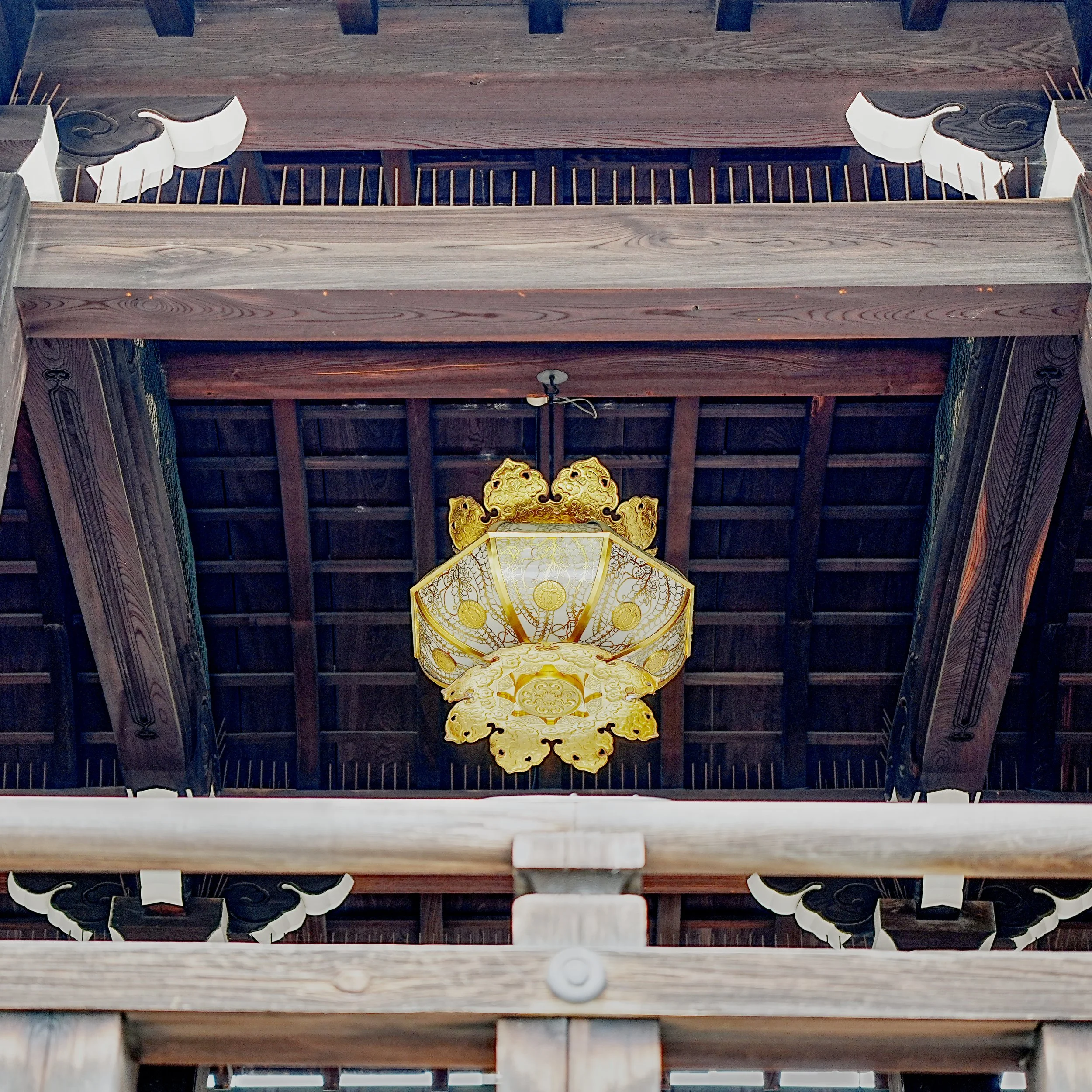 D2_KBukkoji_A7V01650.jpg