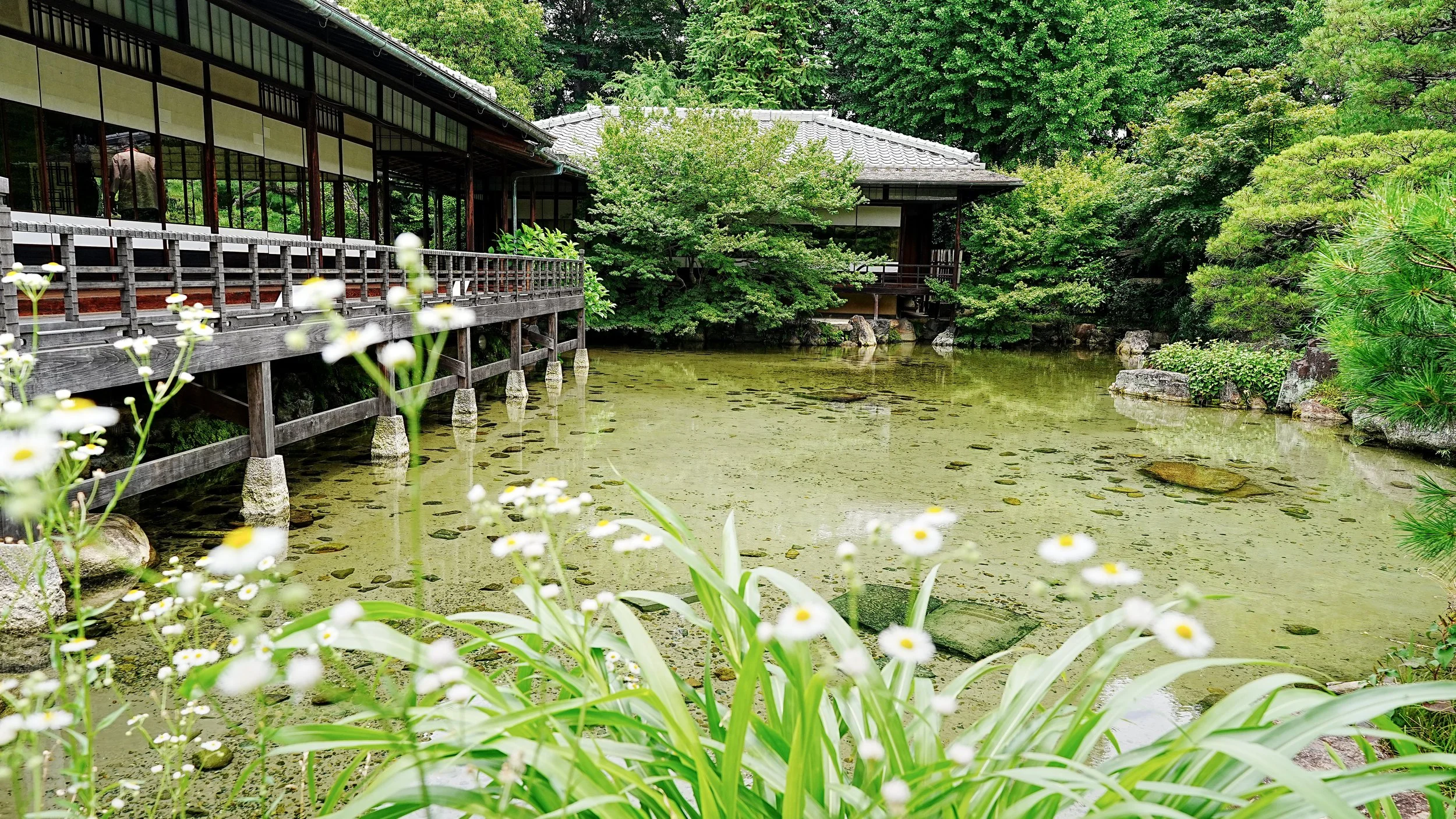 D2_KShoseienGarden_A7V01705.jpg