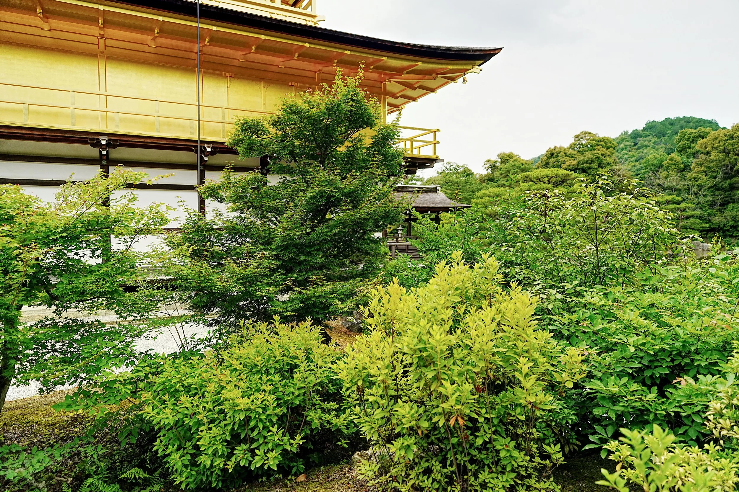 D2_KKinkaku_A7V01744.jpg