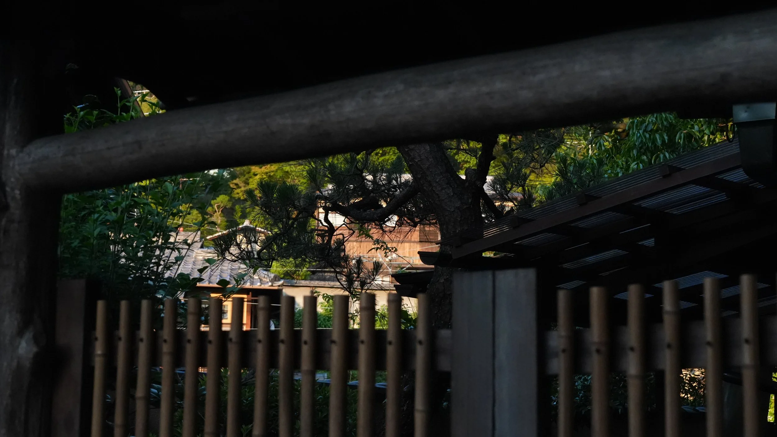 D1_GionGarden_A7V01584.jpg
