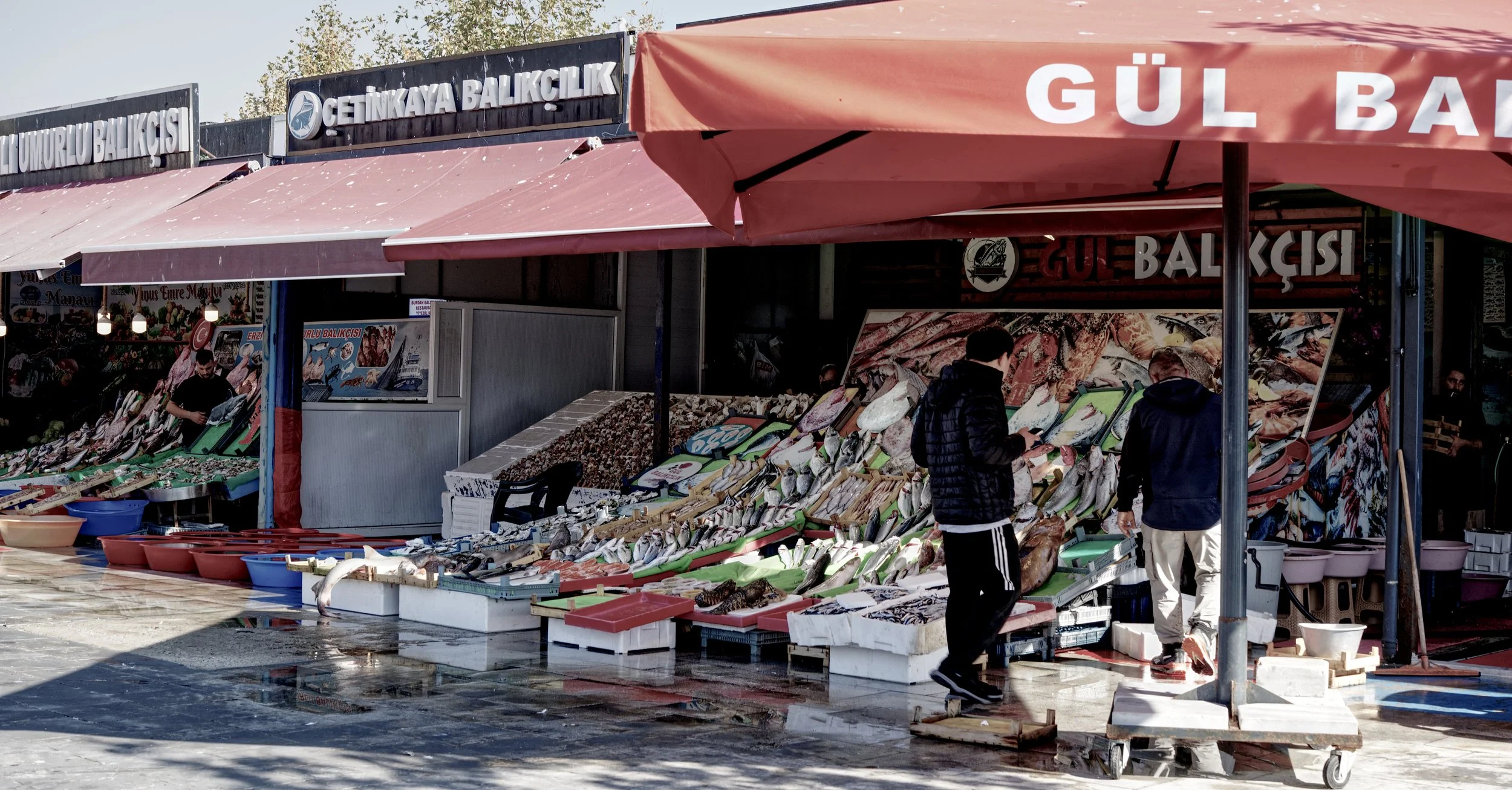 A7401322_FishMarket.jpg