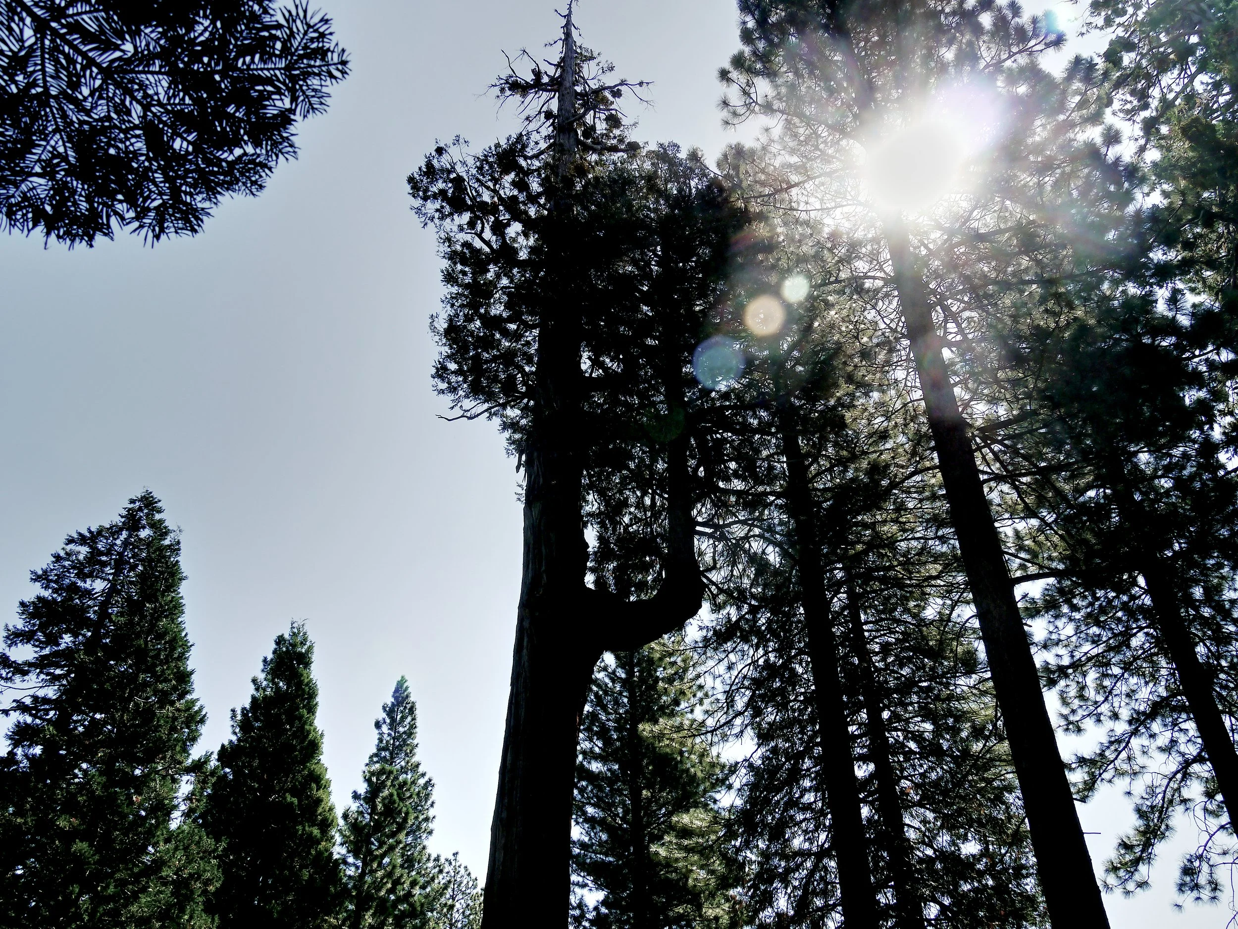 P1070432_LakeTahoe.jpg