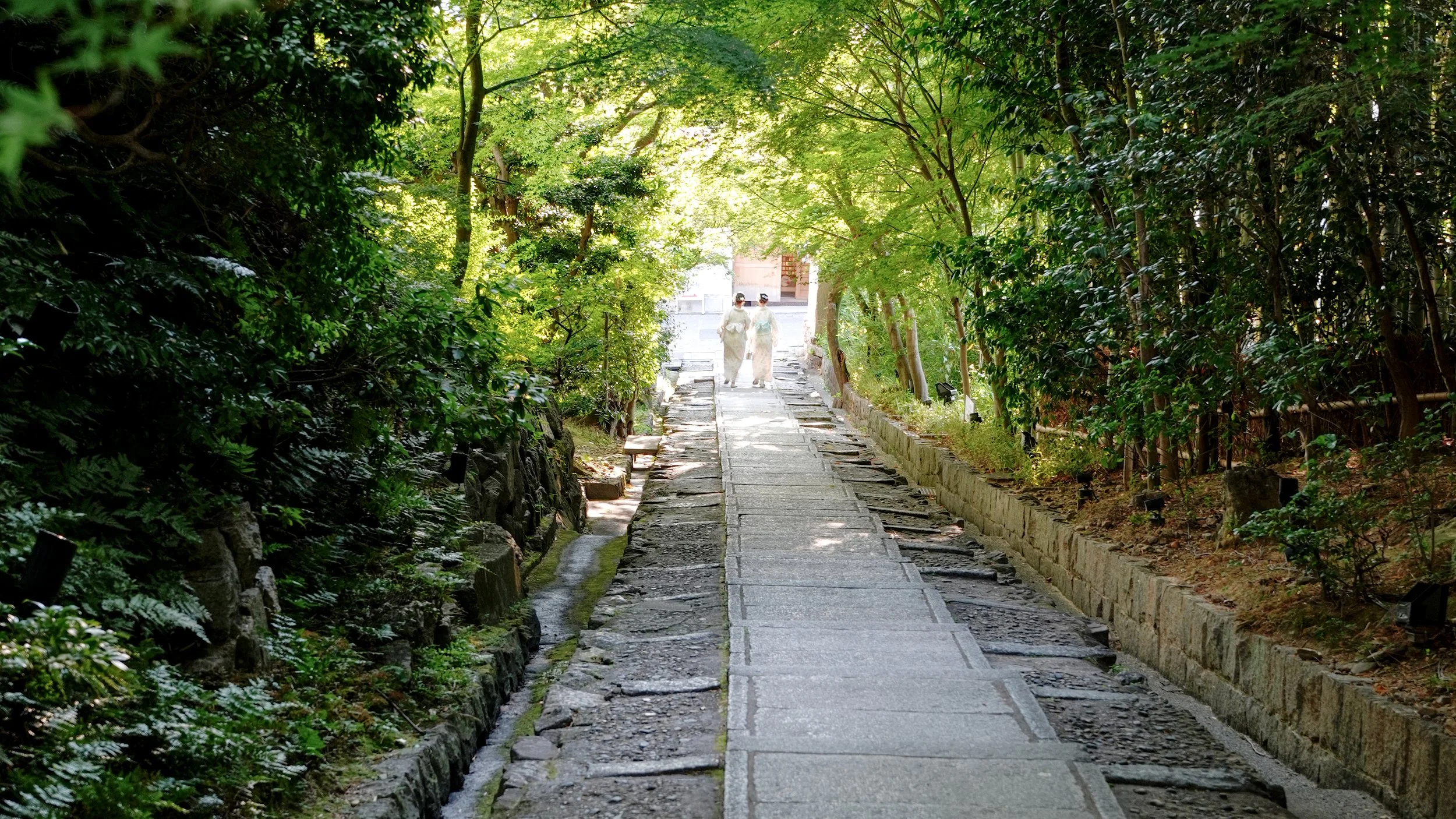 D1_KKodaji_A7V01563.jpg