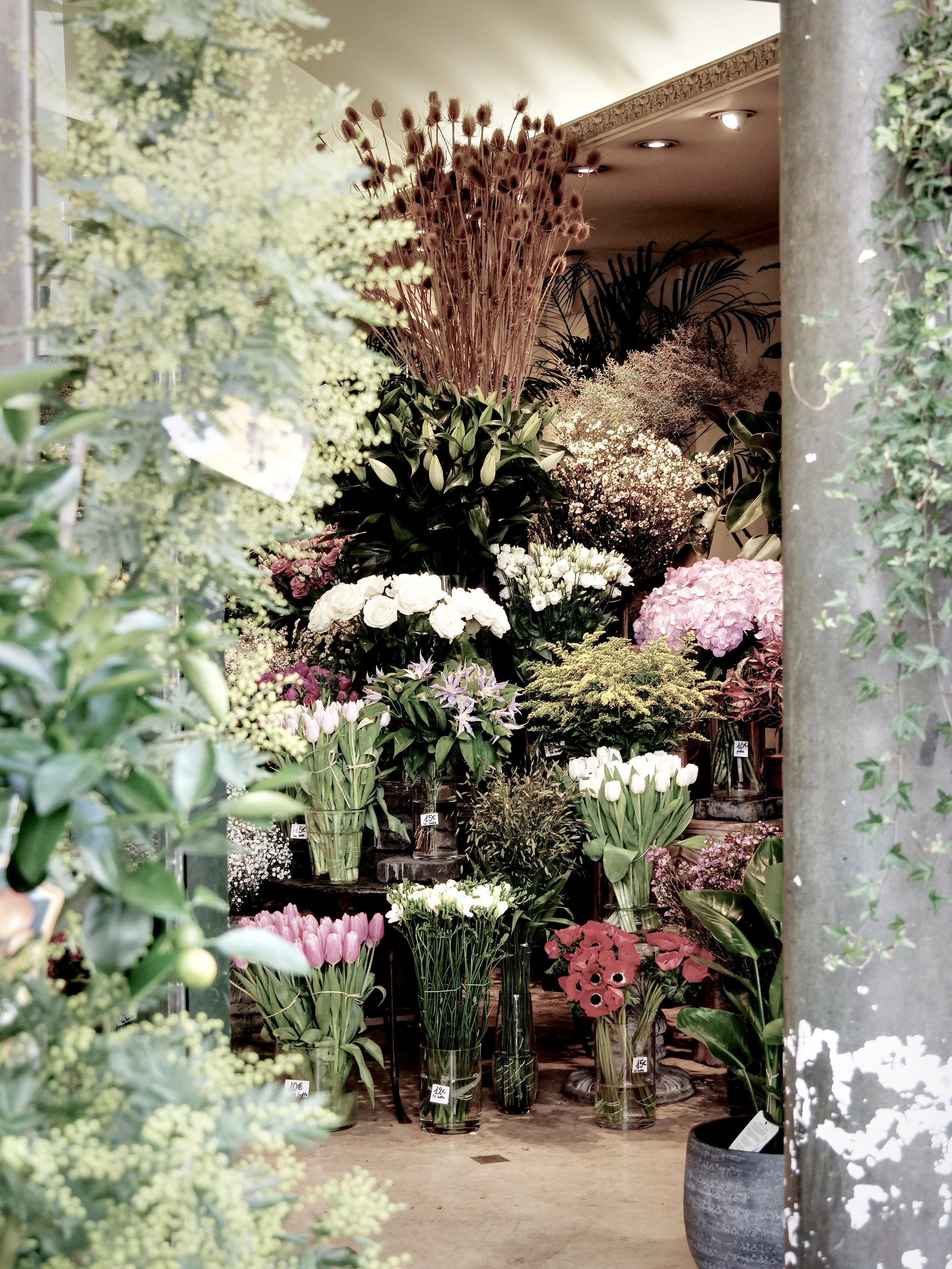 P1043827_FlowerShop.jpg