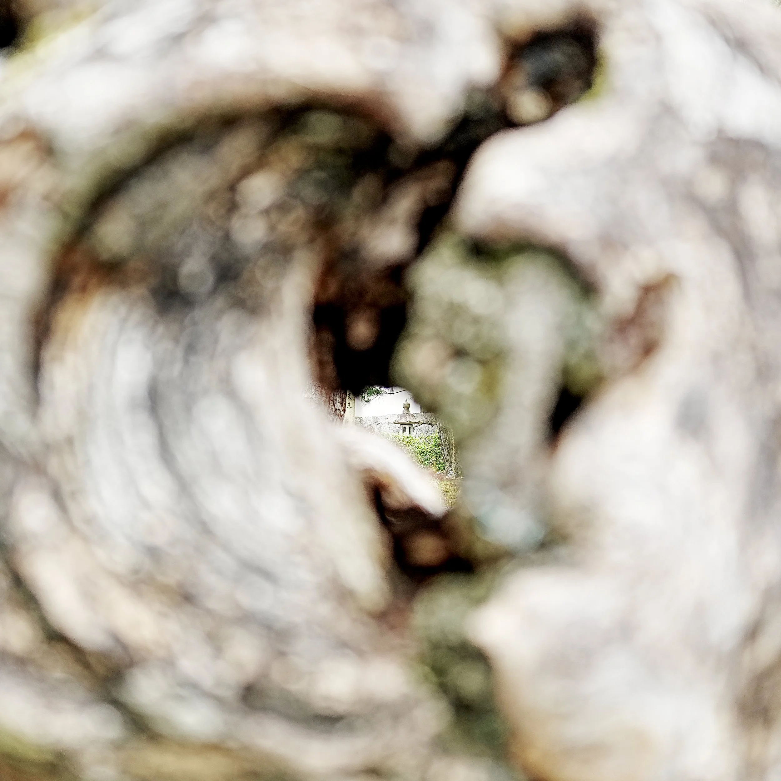 D1_KKenniji_A7V01478.jpg
