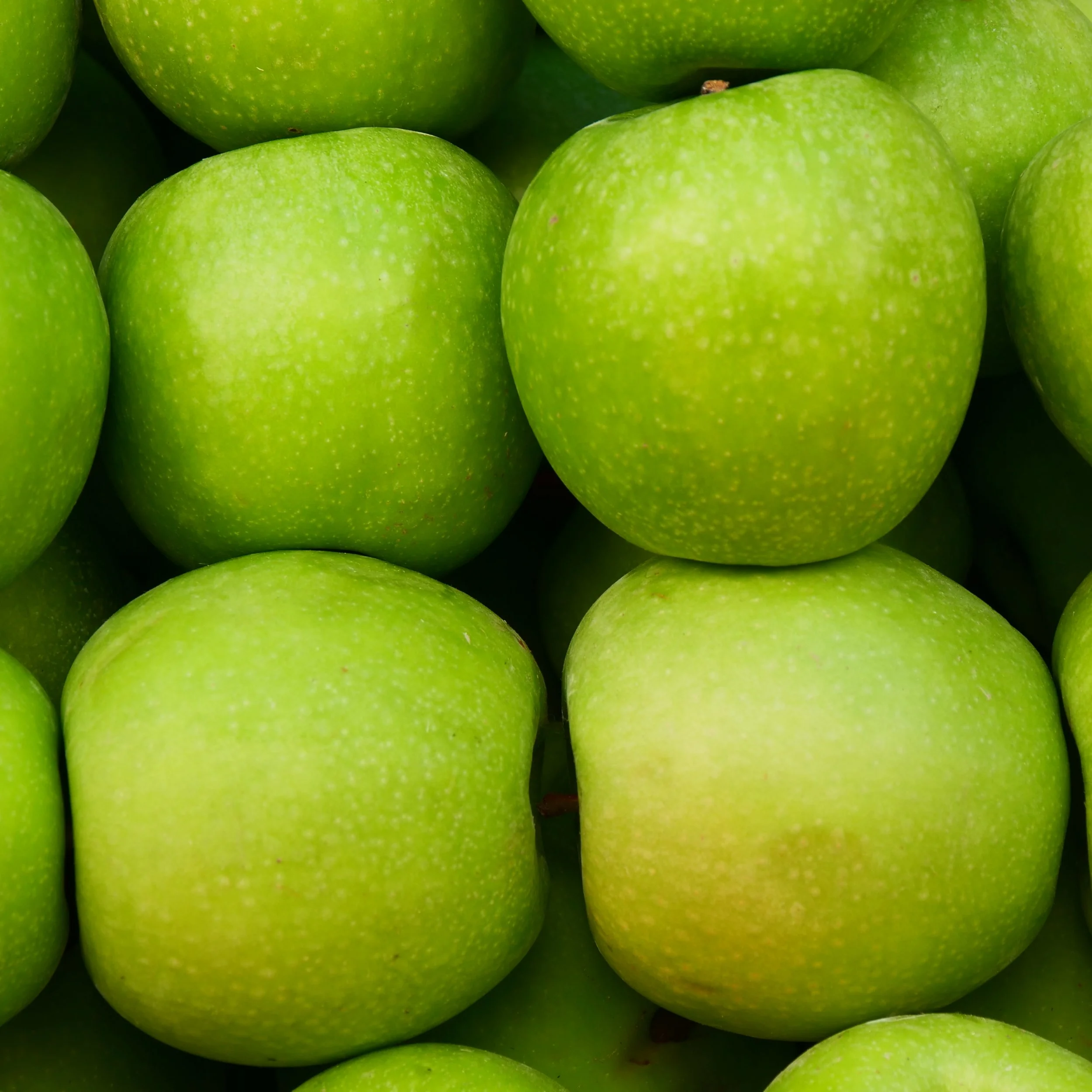 P1027487_FoodMarket.jpg