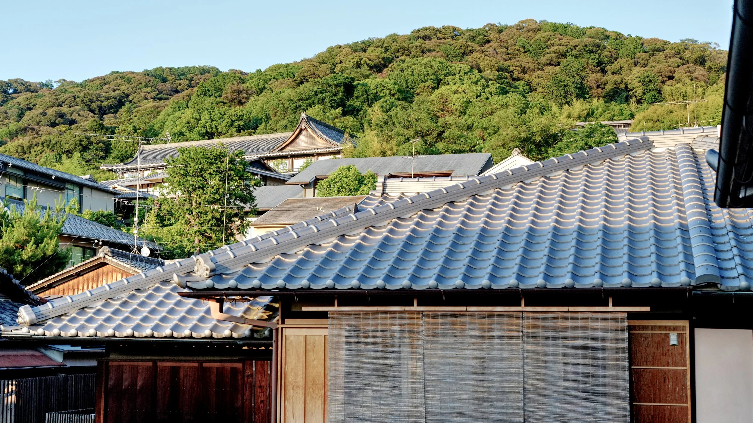 D1_GionRoofTop_A7V01576.jpg