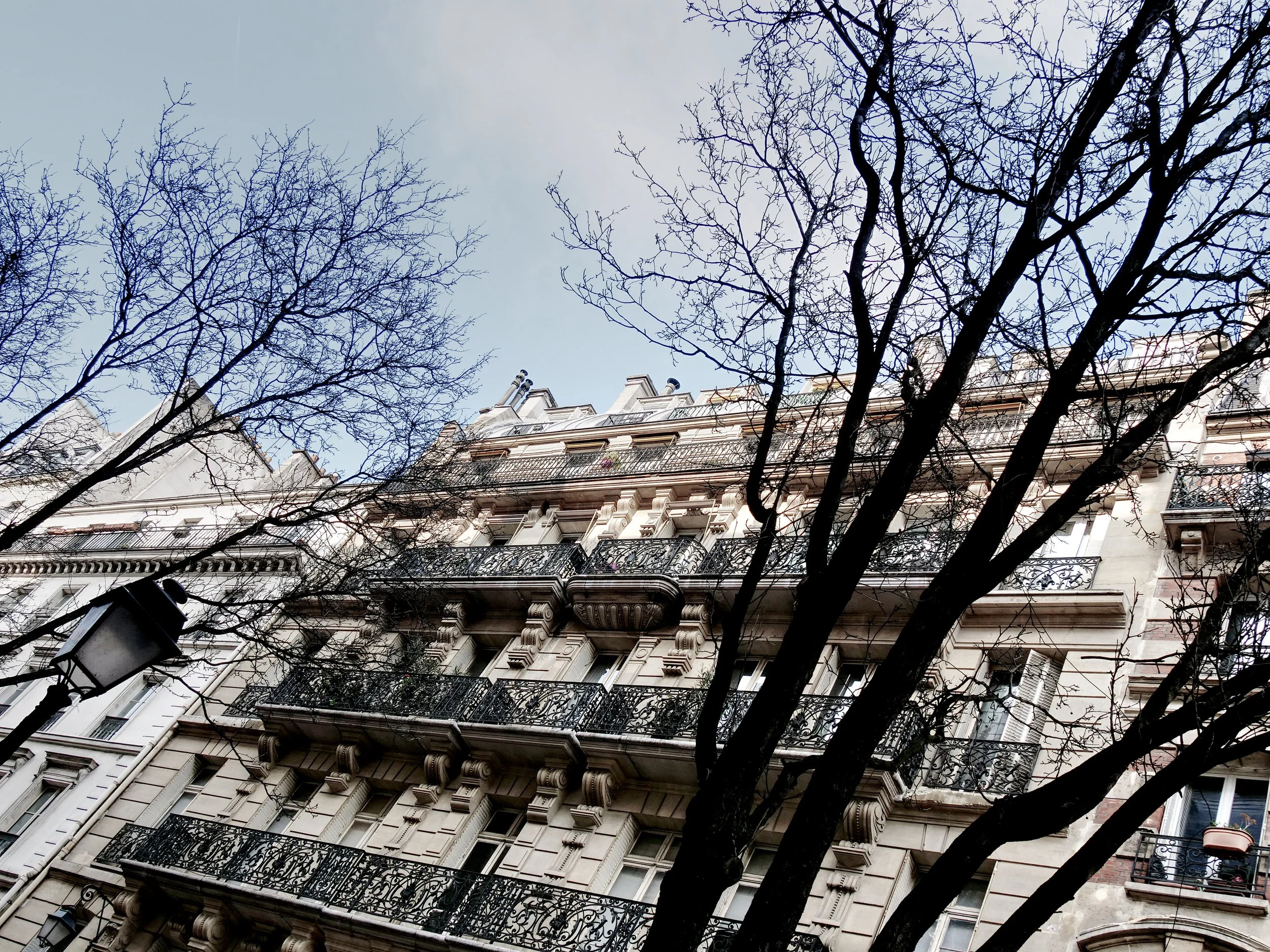 IMG_3606_ParisStreet.jpg