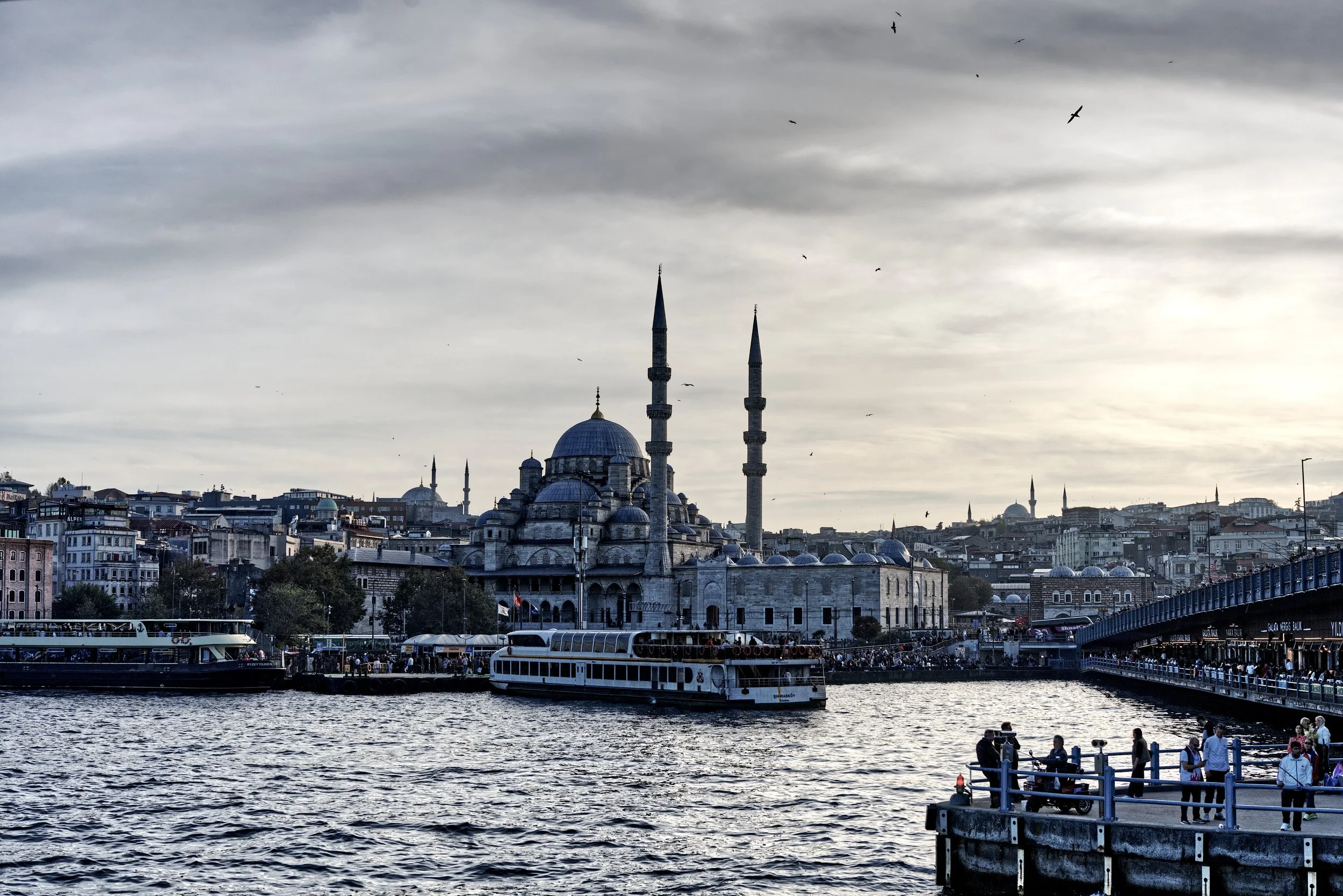 A7401367_GoldenHorn.jpg