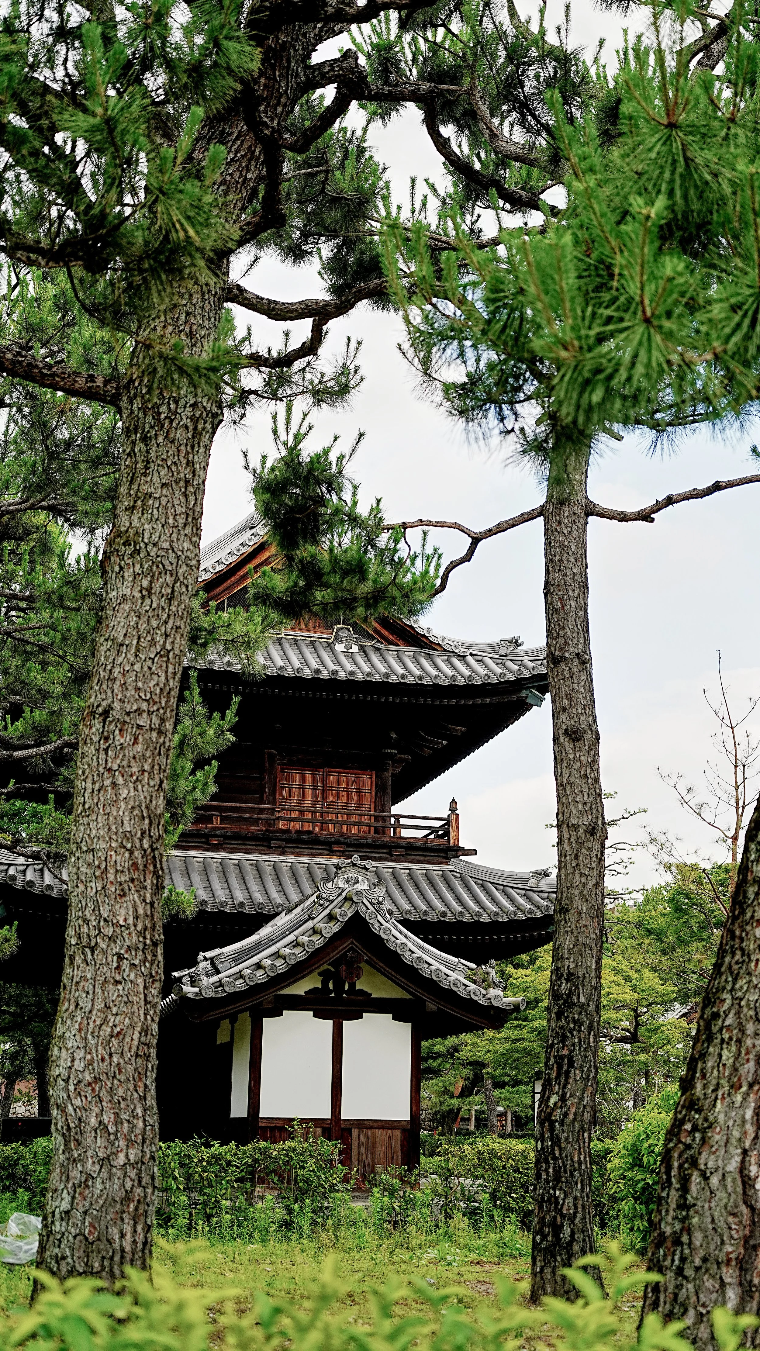 D1_KKenniji_A7V01481.jpg