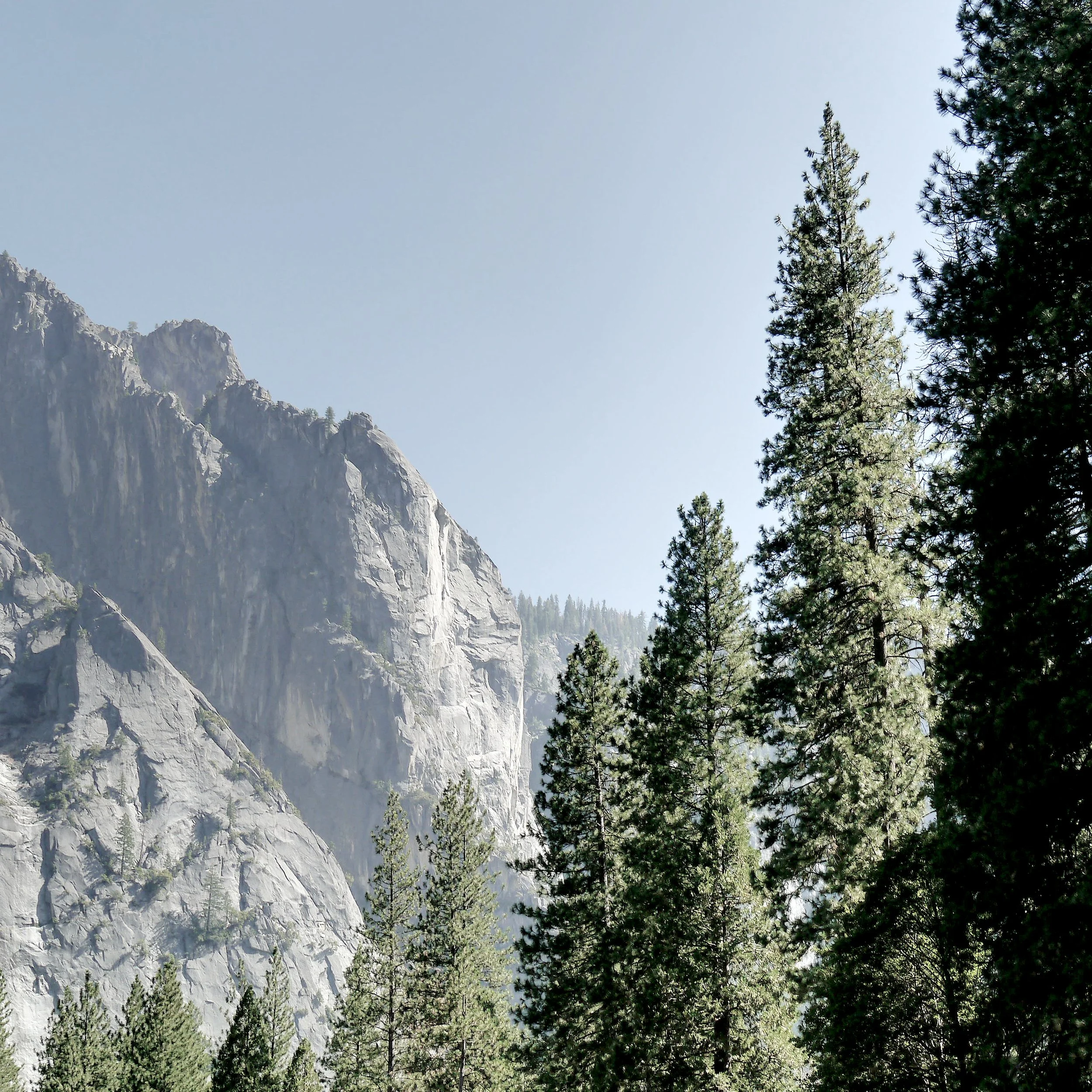 P1070116_Yosemite.jpg