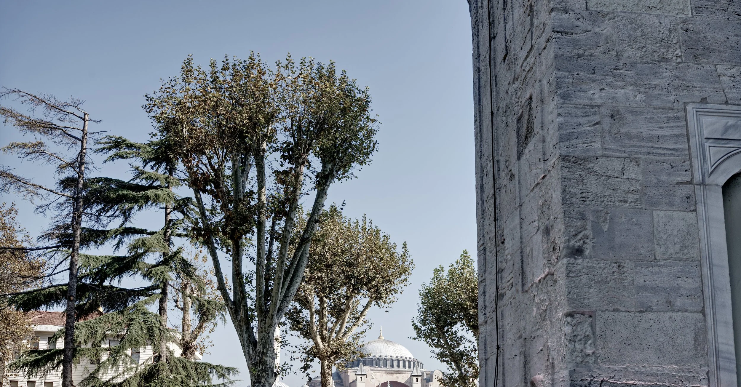 A7401311_Mosque.jpg