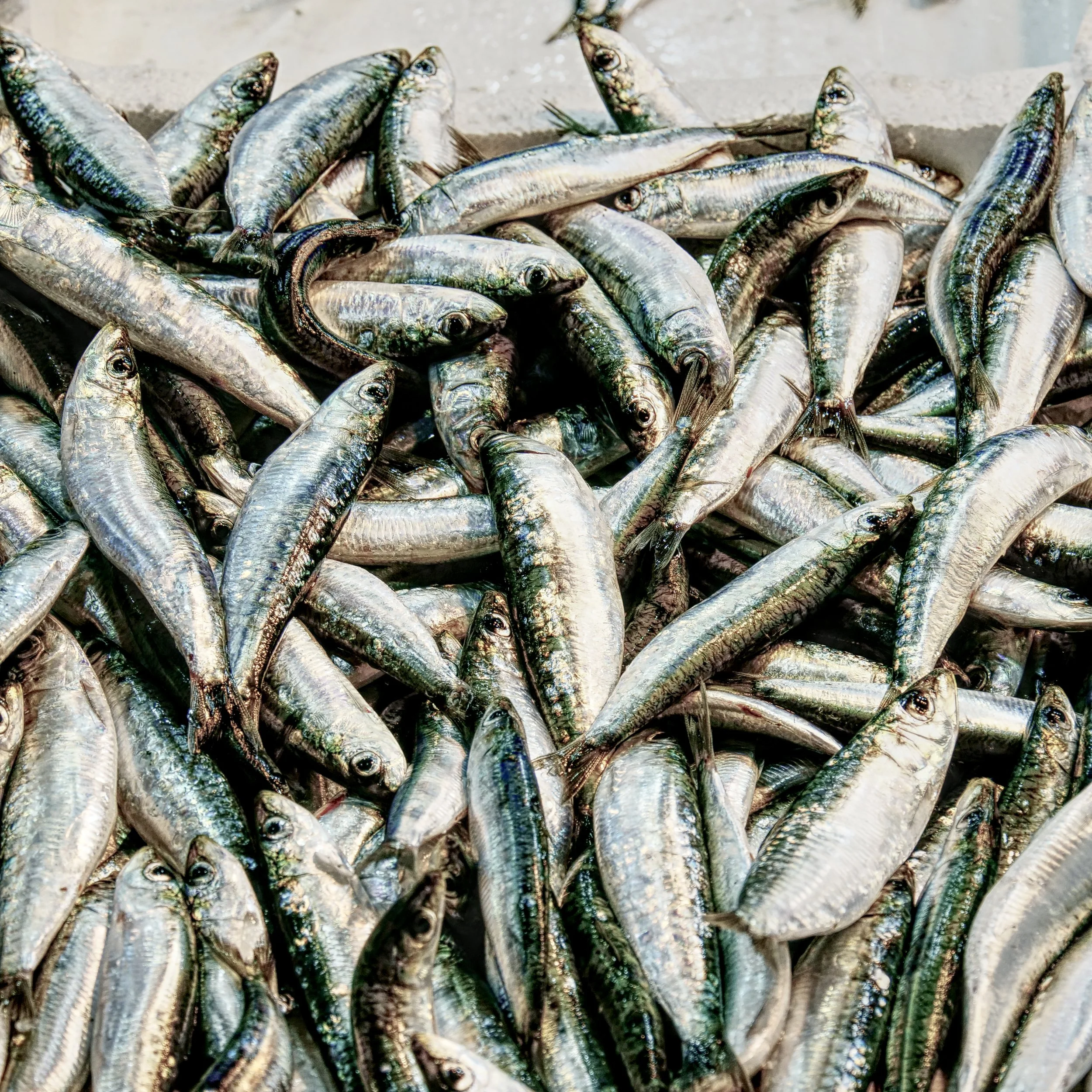 P1027384_FoodMarket.jpg