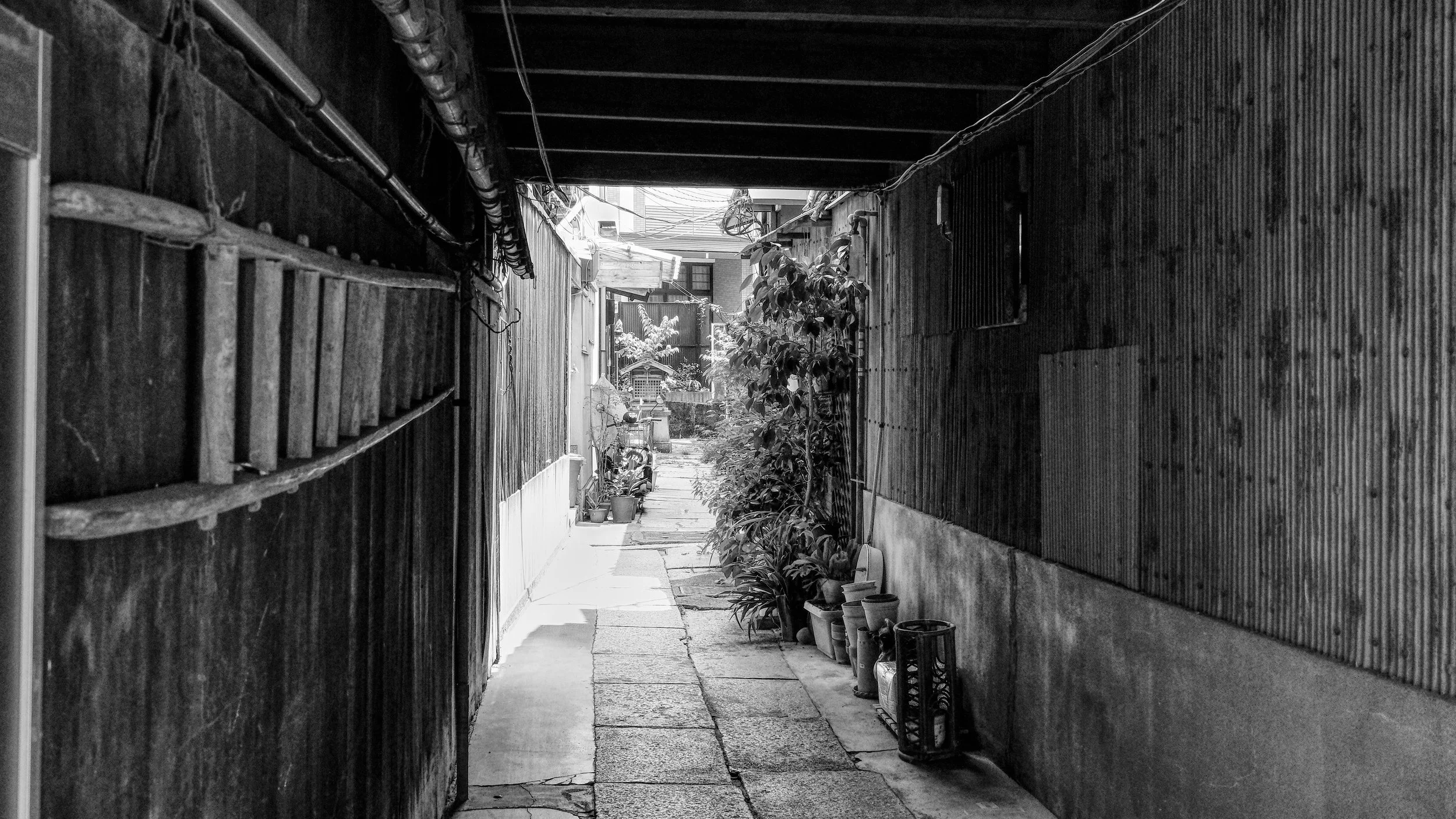 B&W_D1_KStreetView_AF151267.jpg