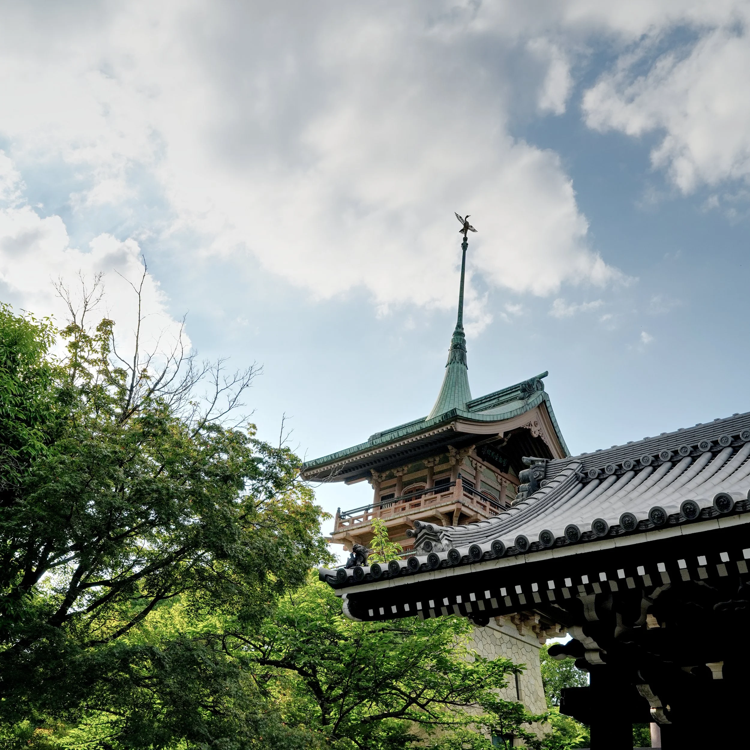 D1_Gion_A7V01545.jpg