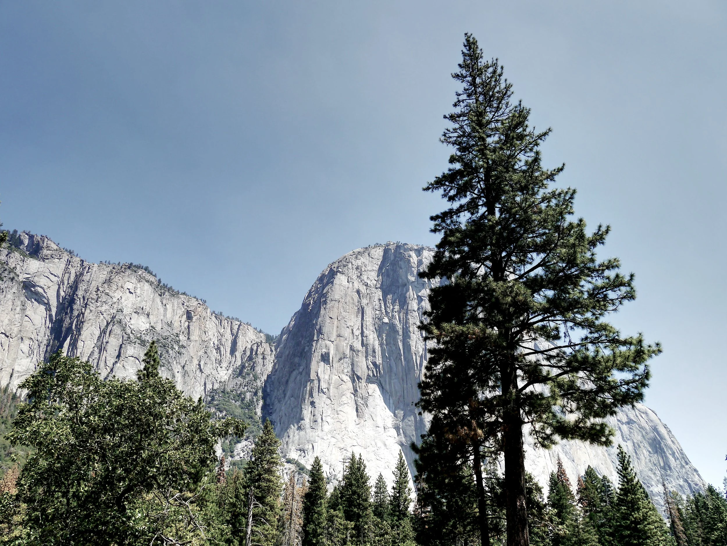 P1070087_Yosimite.jpg