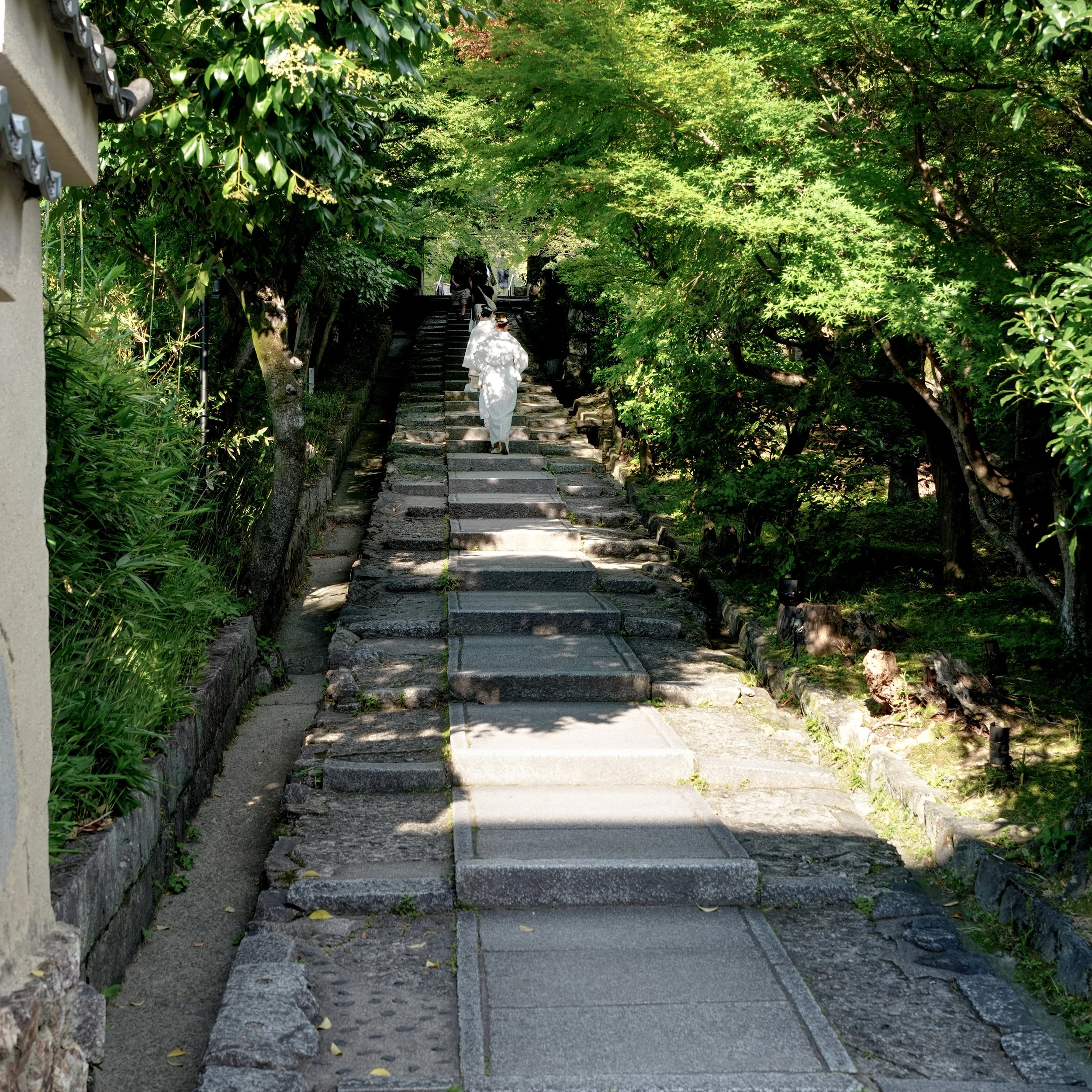 D1_StreetStairs_A7V01554.jpg
