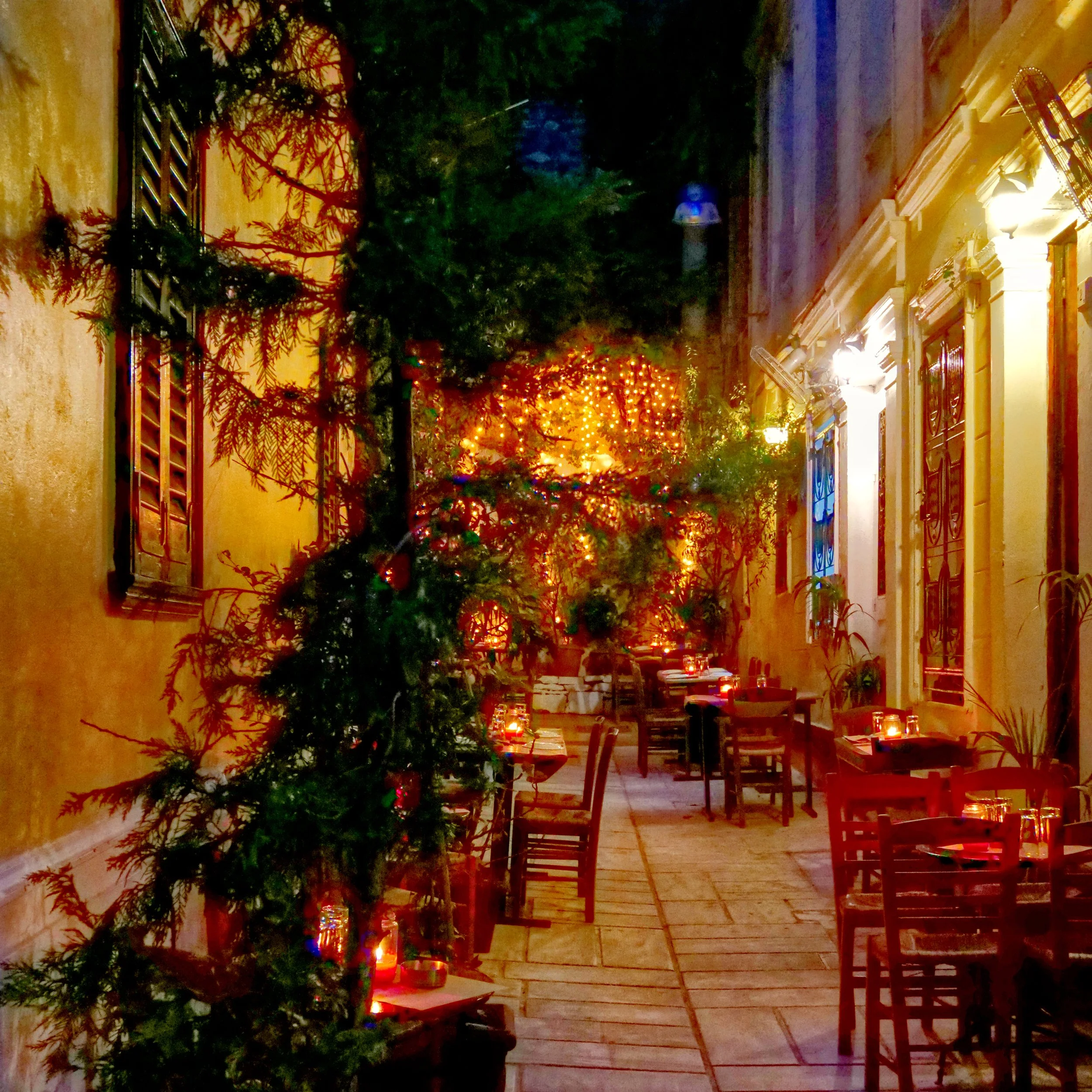 P1016748_Street.jpg