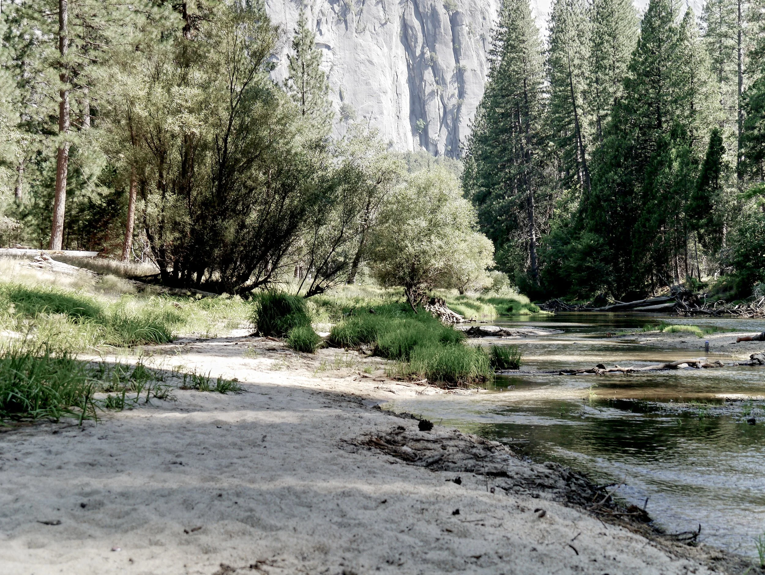 P1070115_YosemiteRiver.jpg