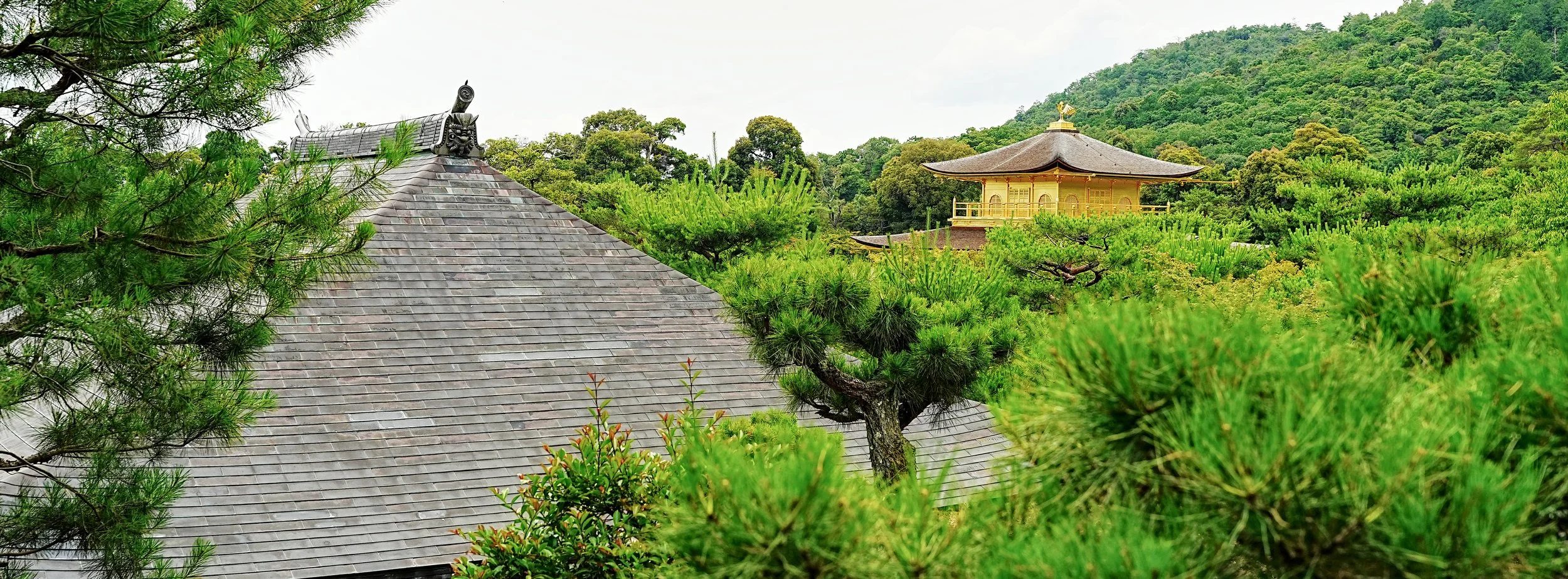 D2_KKinkaku_A7V01750.jpg