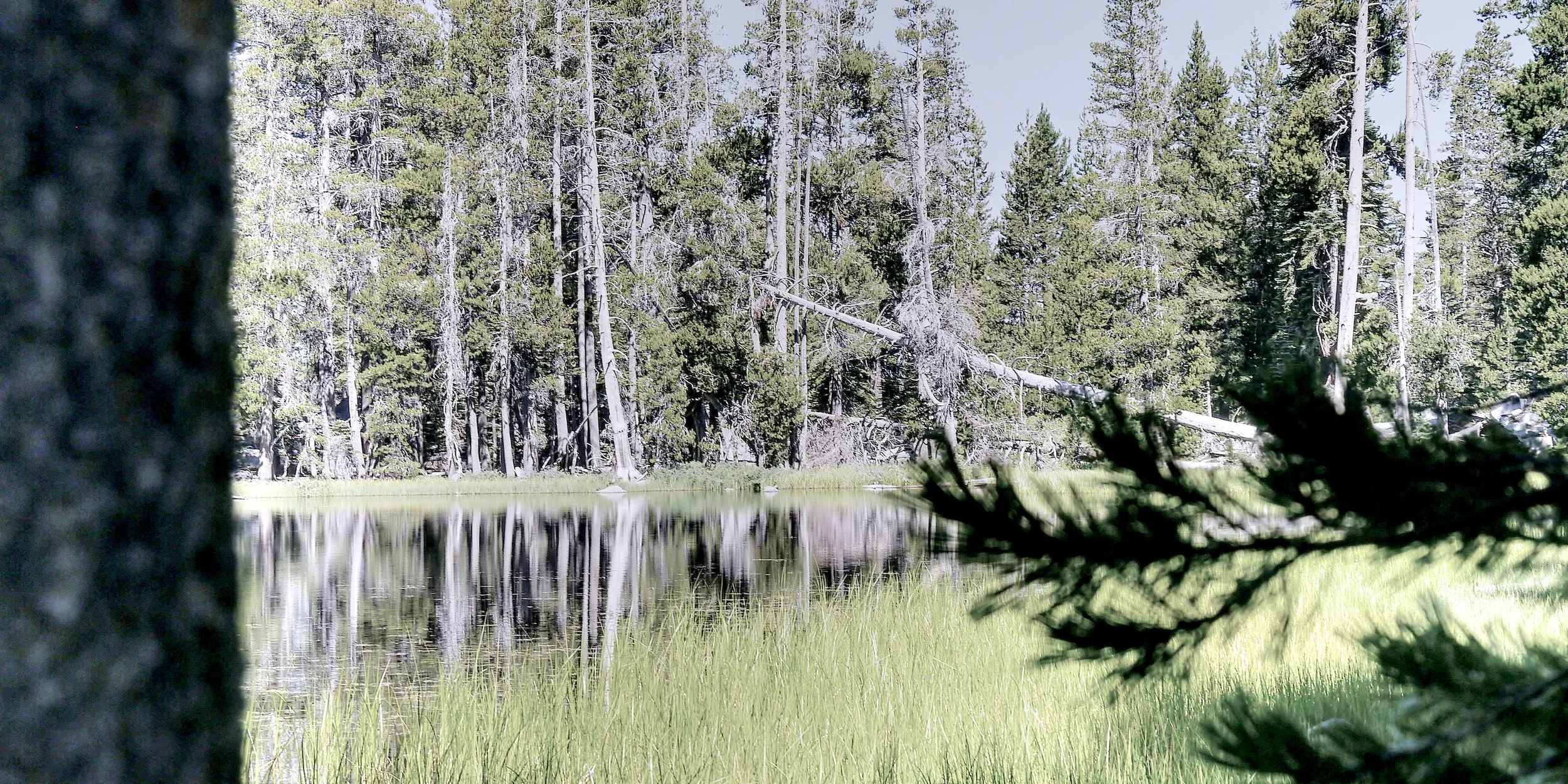 P1070272_YosemiteC.jpg