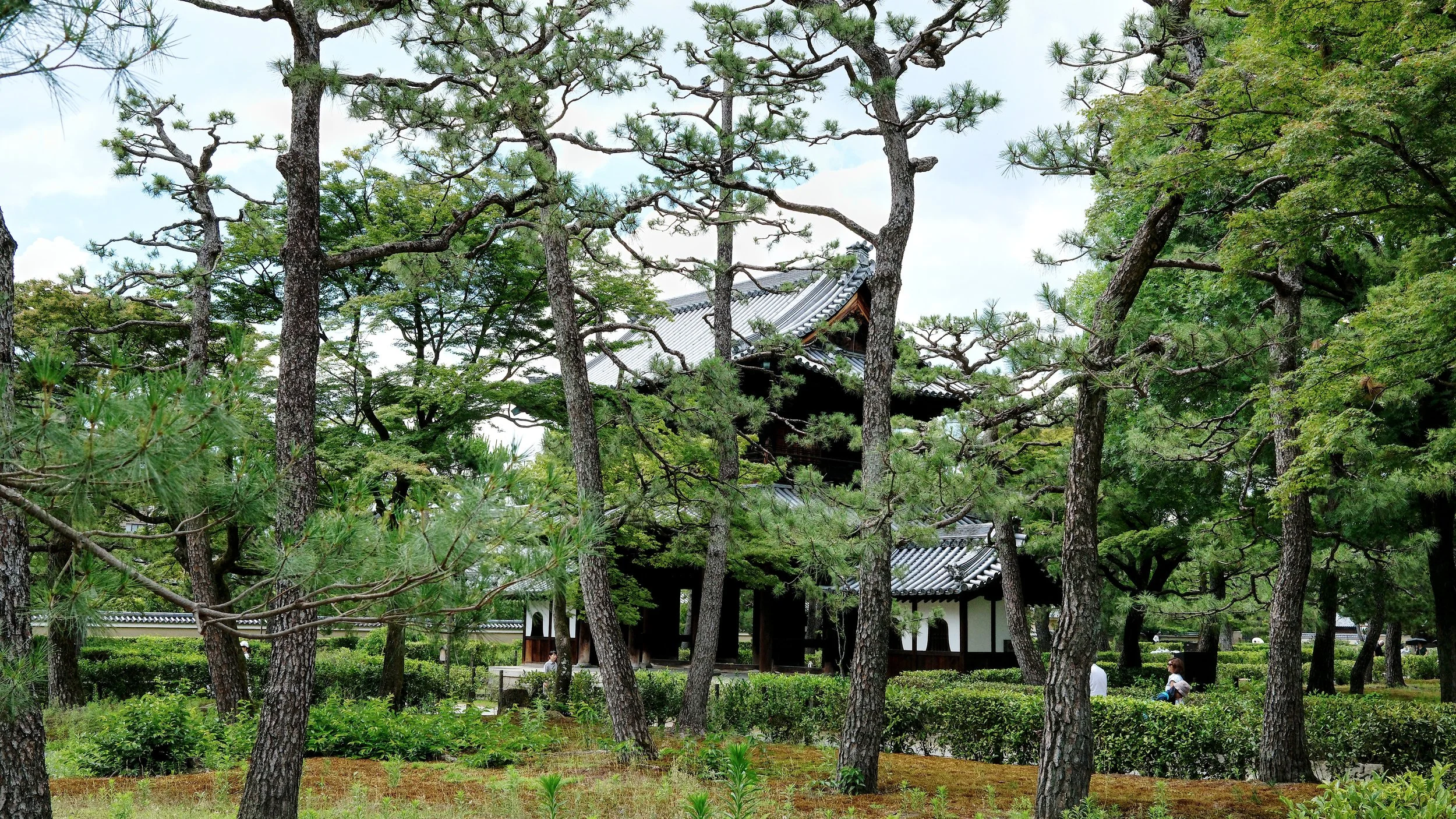 D1_KKenniji_AF131271.jpg