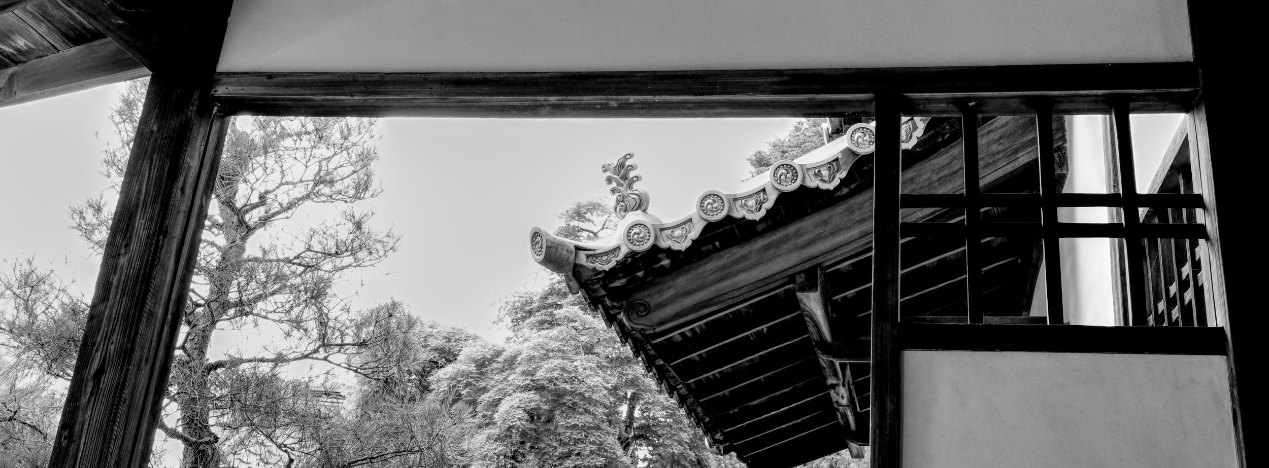 B&W_D1_KKenniji_AF131318.jpg