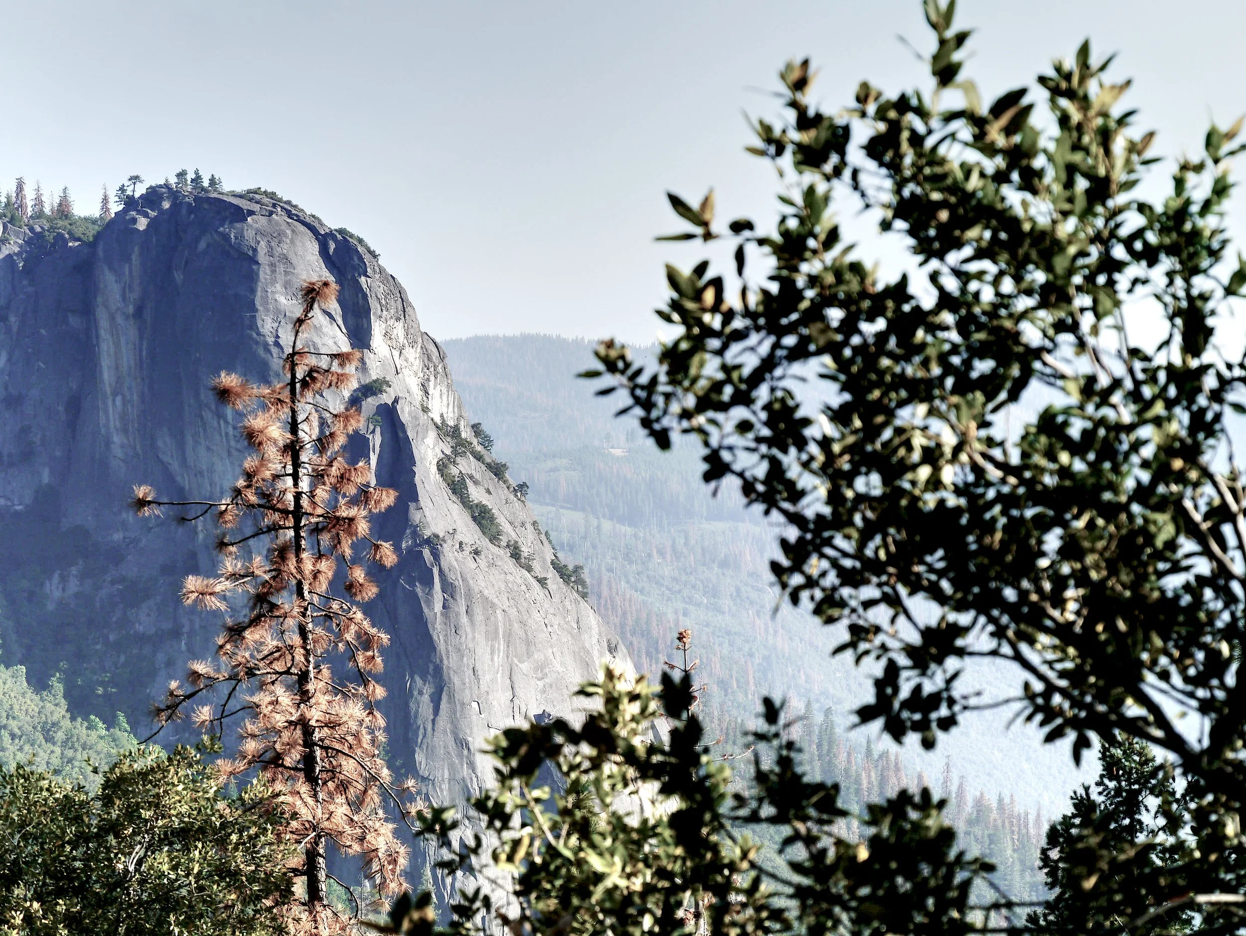 P1070136_Yosemite.jpg
