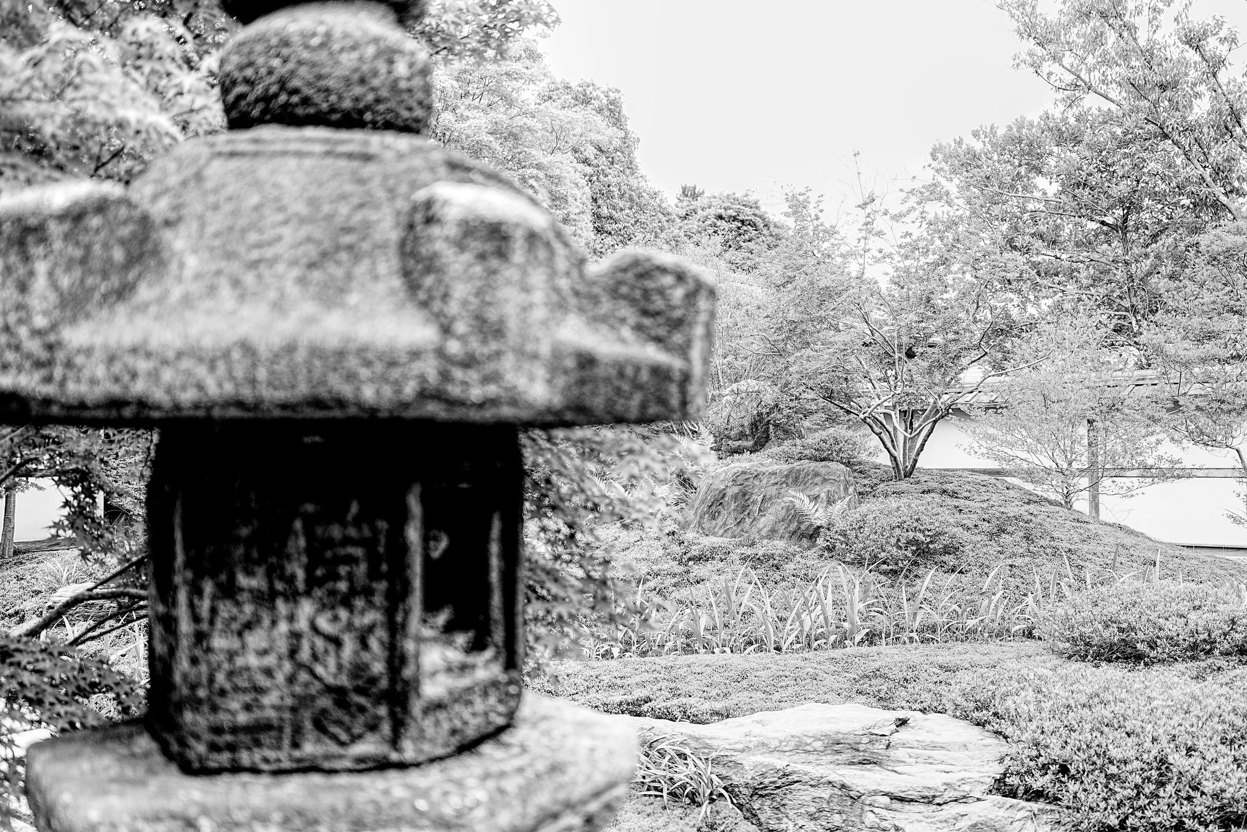 B&W_D1_KRyosoku_A7V01477.jpg
