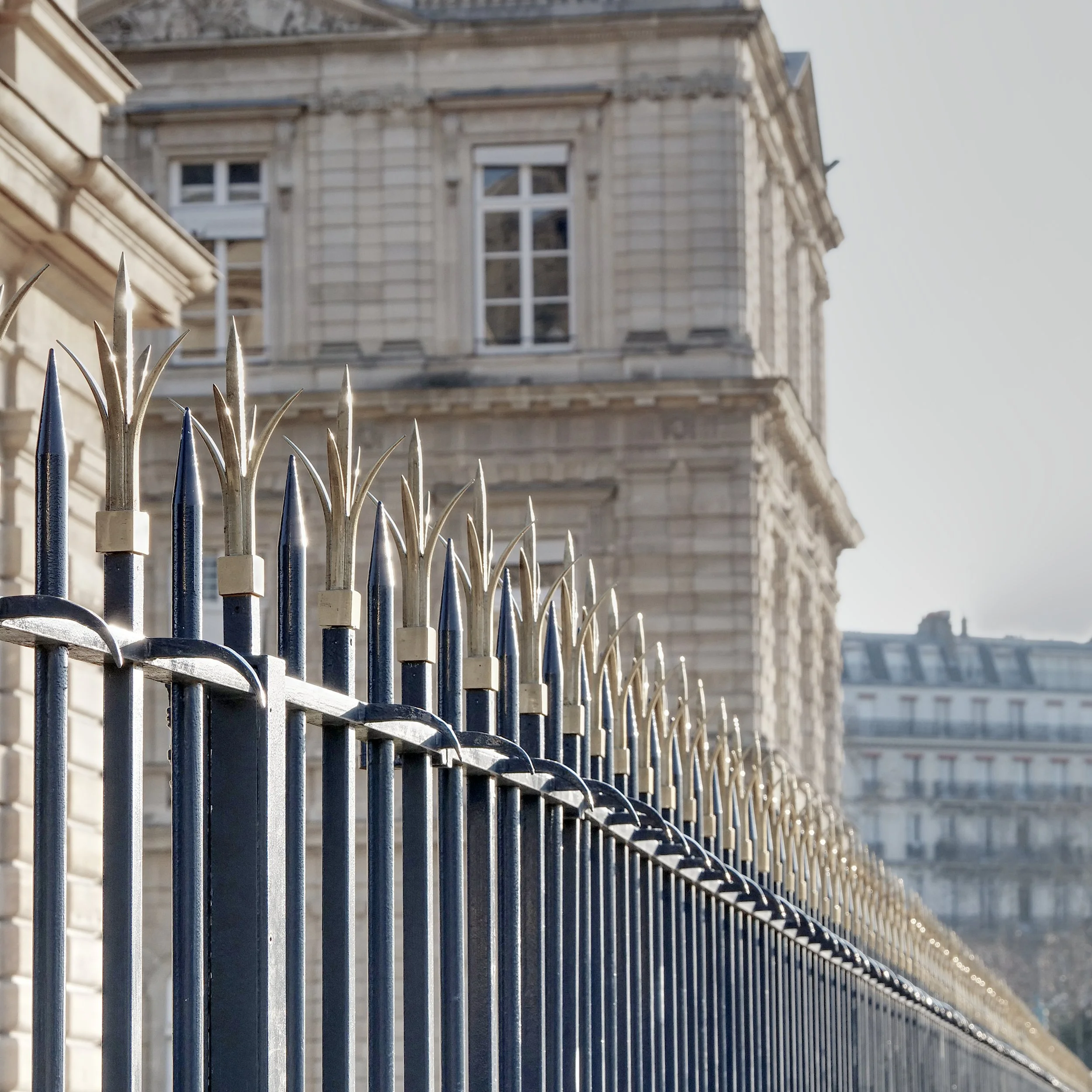 P1010598_FenceGarden.jpg