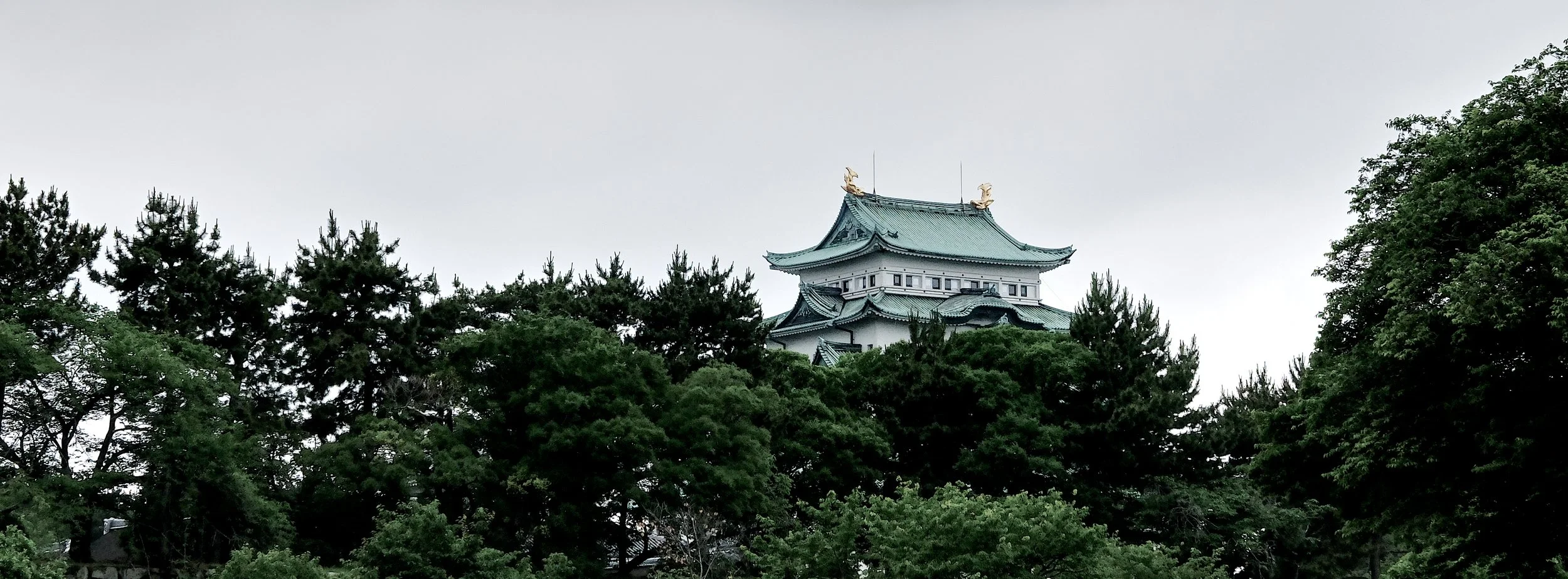 AF060224_NagoyaCastle.jpg