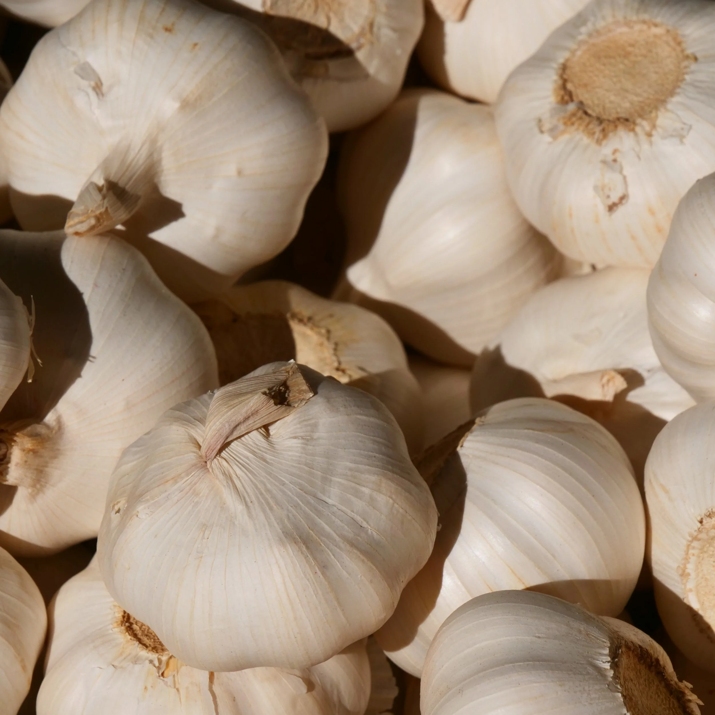 P1027489_FoodMarket.jpg