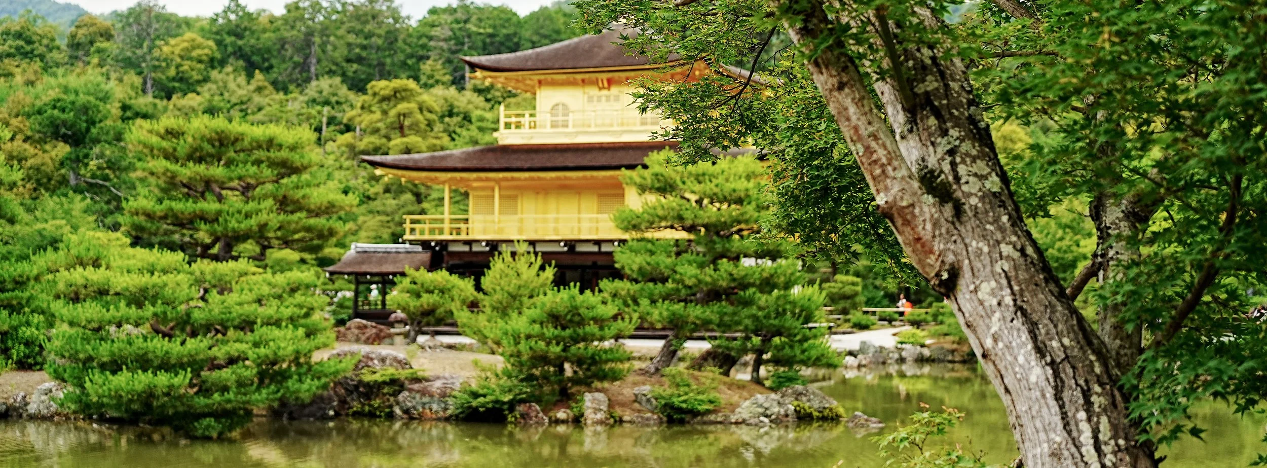 D2_KKinkaku_A7V01720.jpg