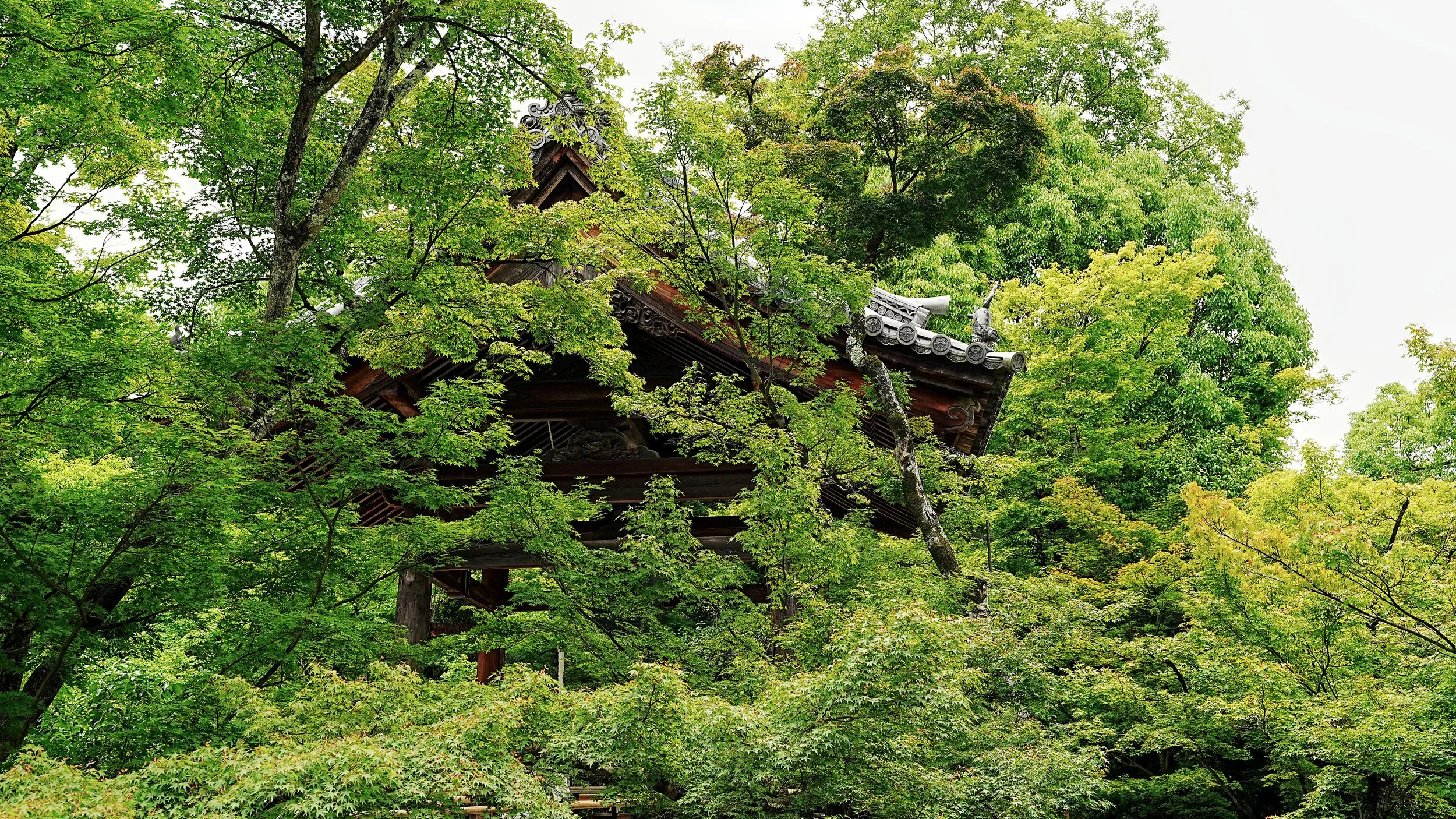 D2_KKinkaku_A7V01714.jpg