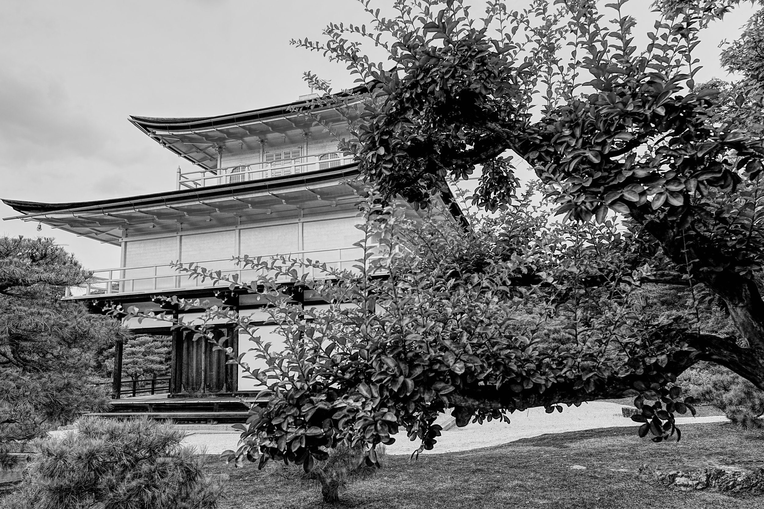 B&W_D2_KKinkaku_A7V01742.jpg
