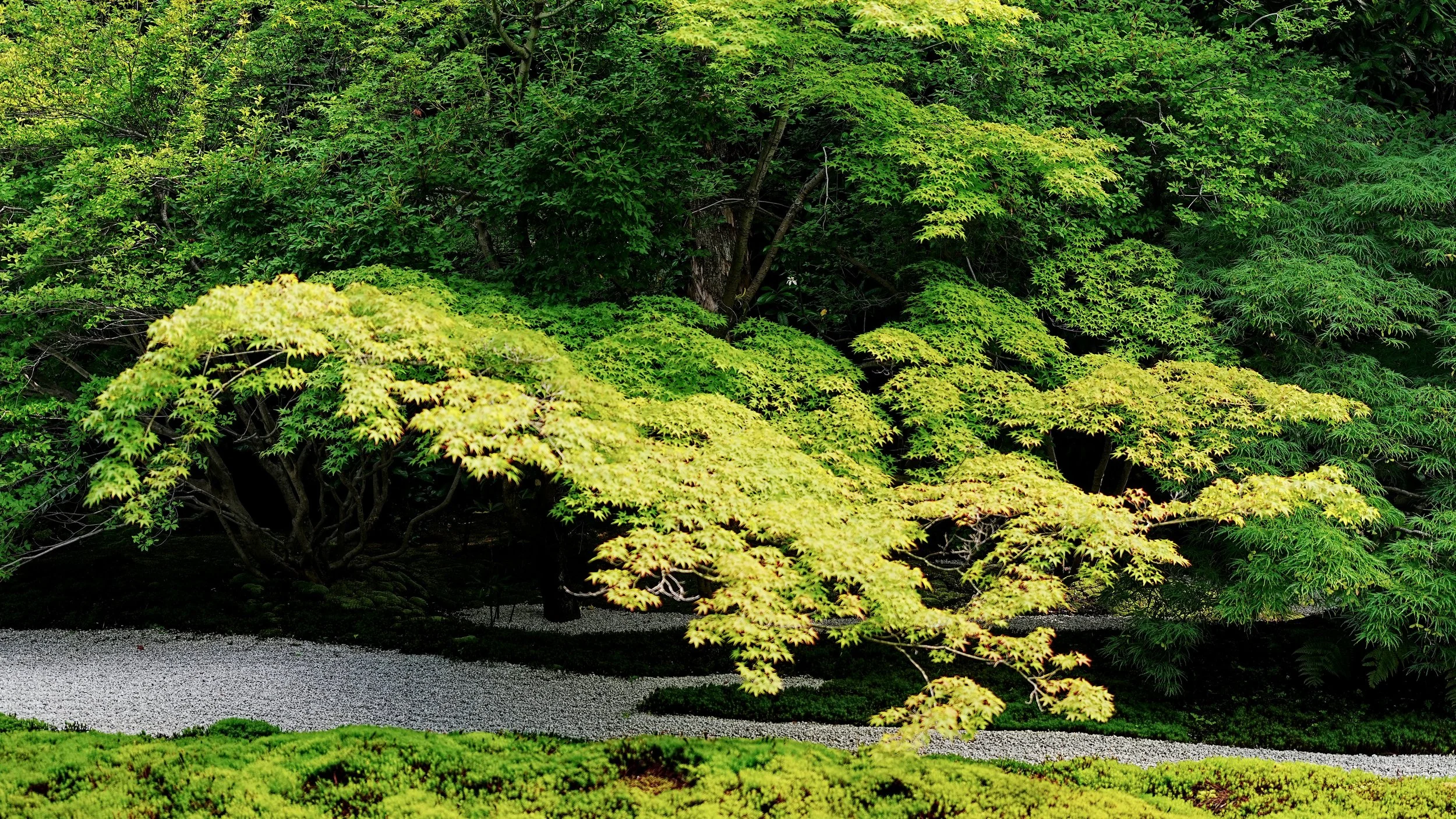 D1_KRyosoku_A7V01465.jpg