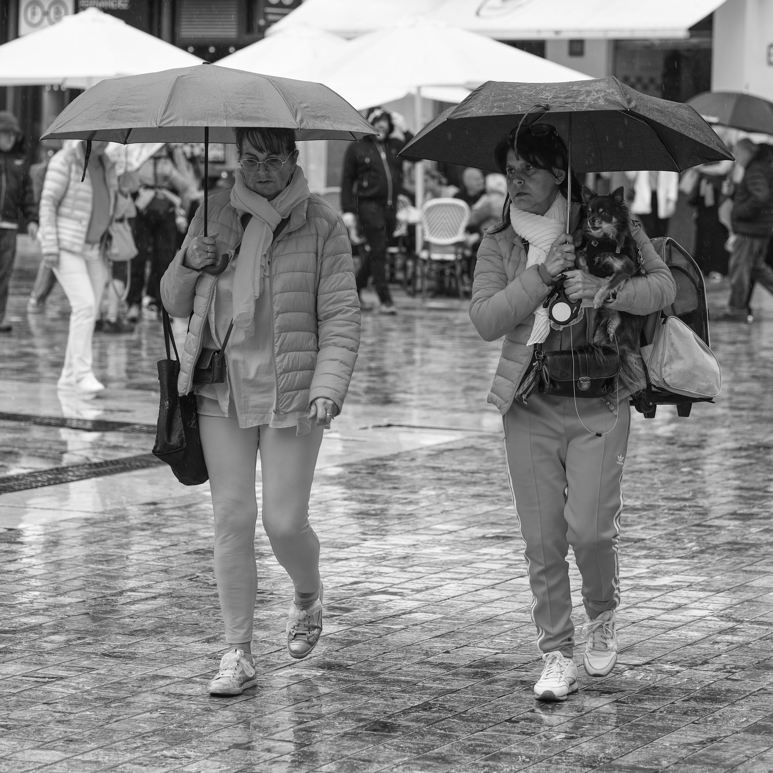 A7403117_B&WWalkingRain.jpg
