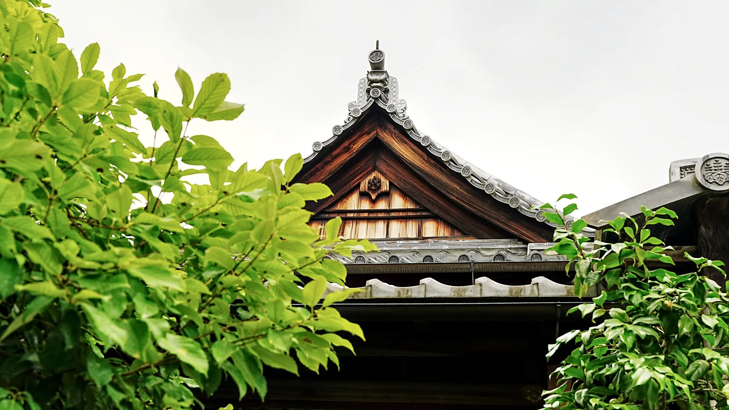 D2_KKinkaku_A7V01741.jpg