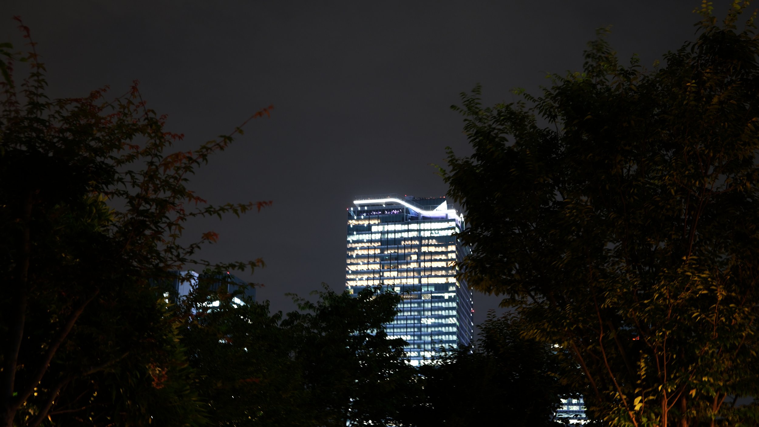 AF080694_Shibuya.jpg