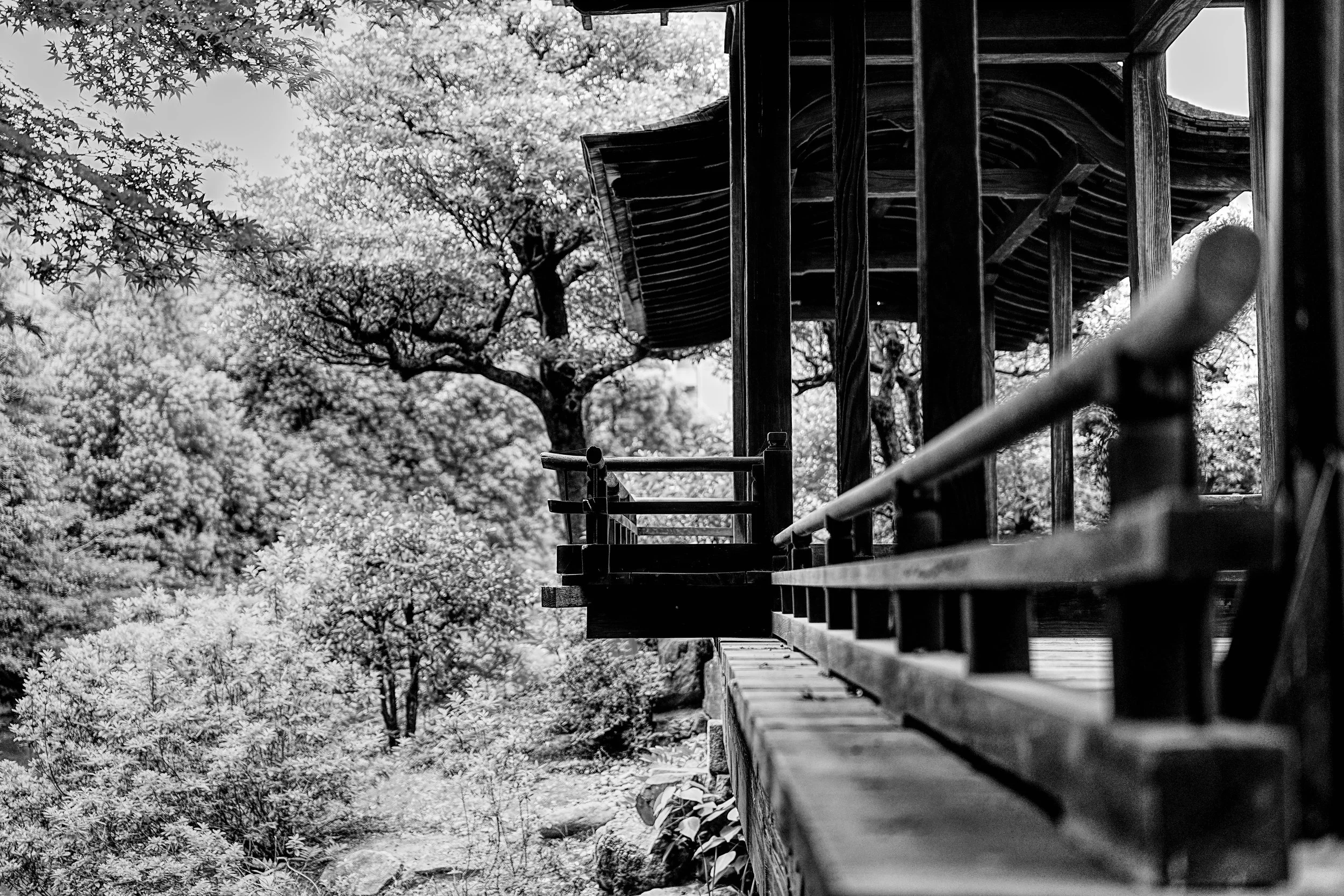 B&W_D2_KShoseienGarden_A7V01690.jpg