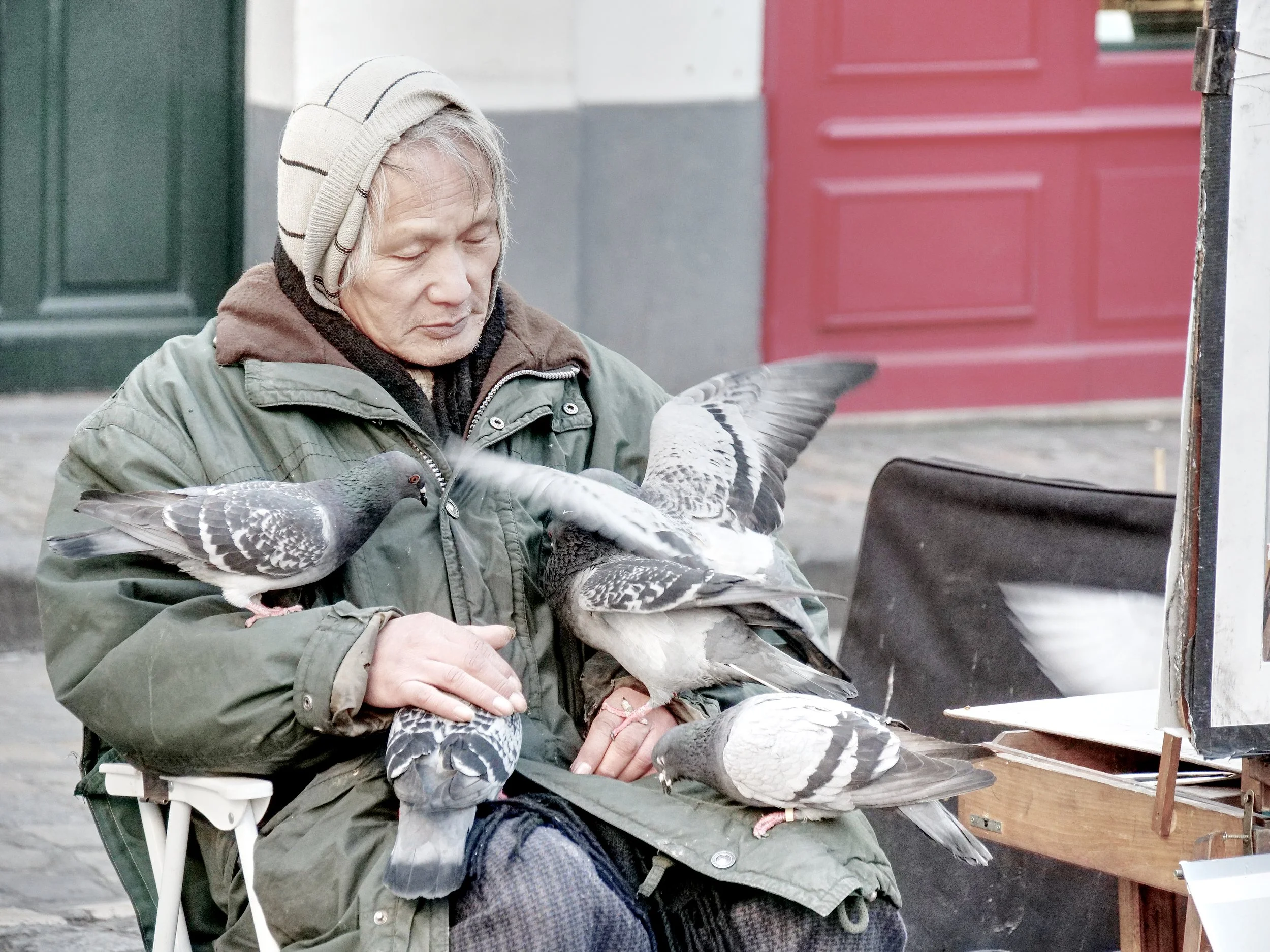 P1010730_ManPigeon.jpg