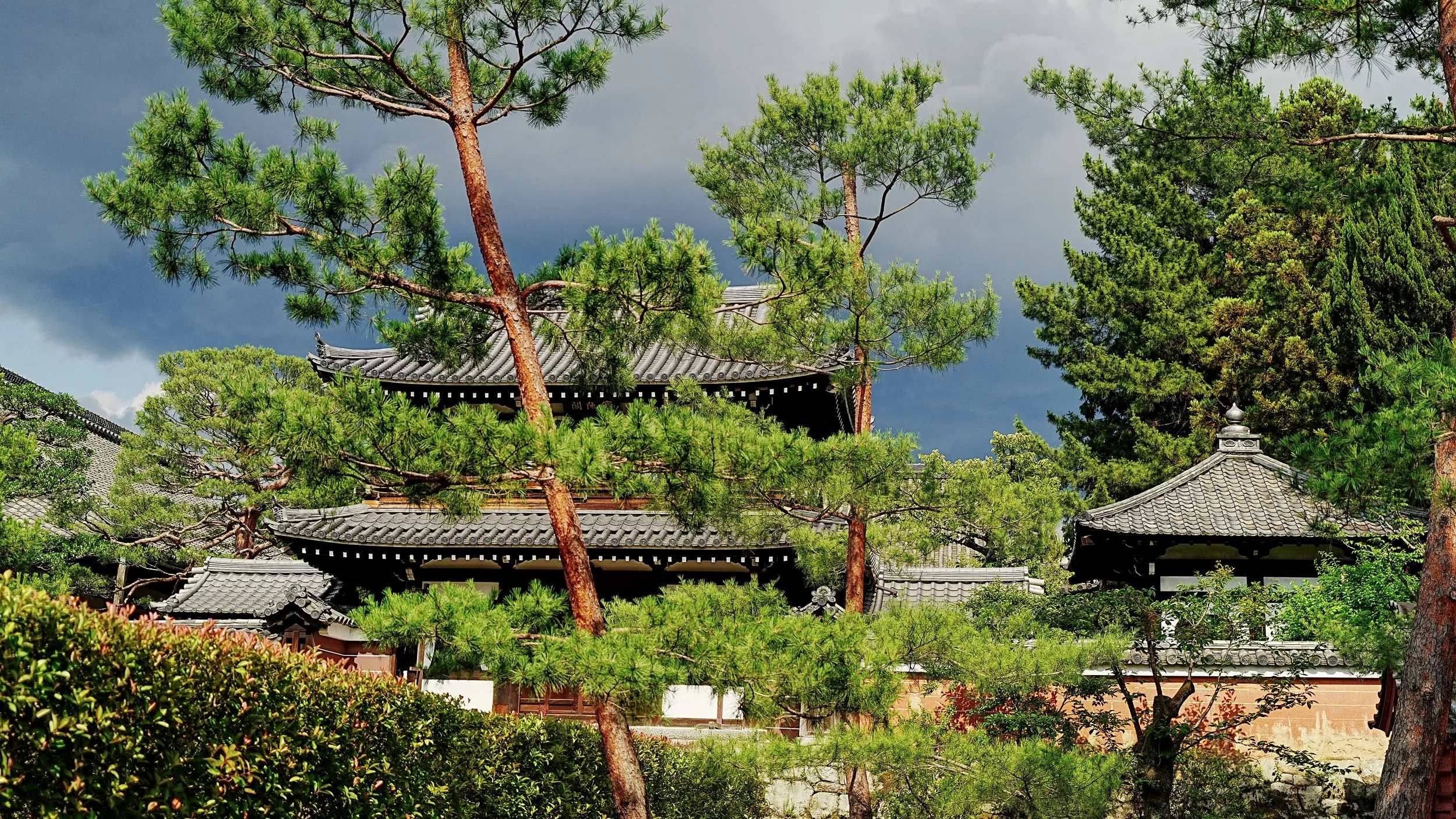 D1_KKenniji_A7V01488.jpg