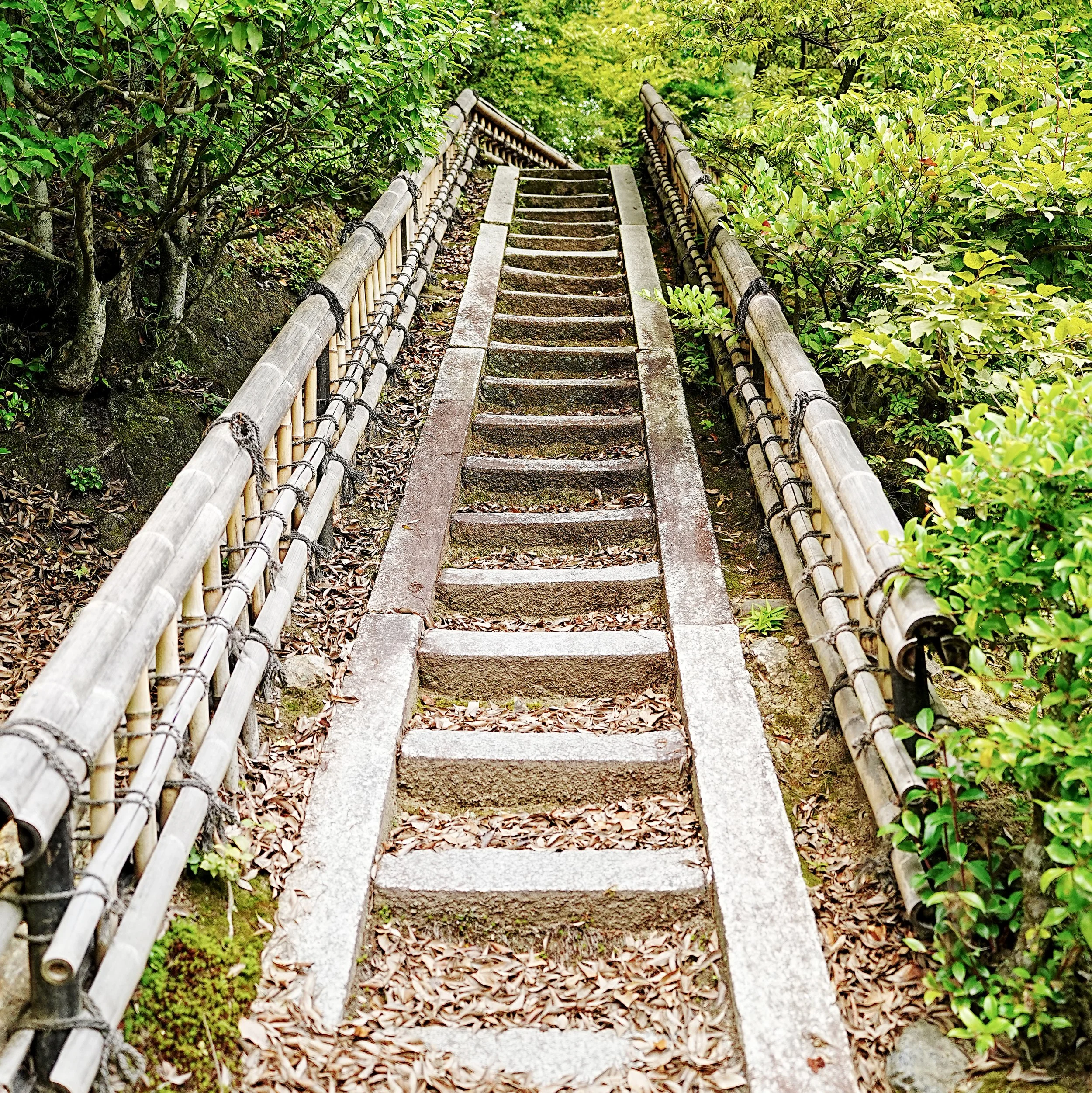 D2_KKinkaku_A7V01749.jpg