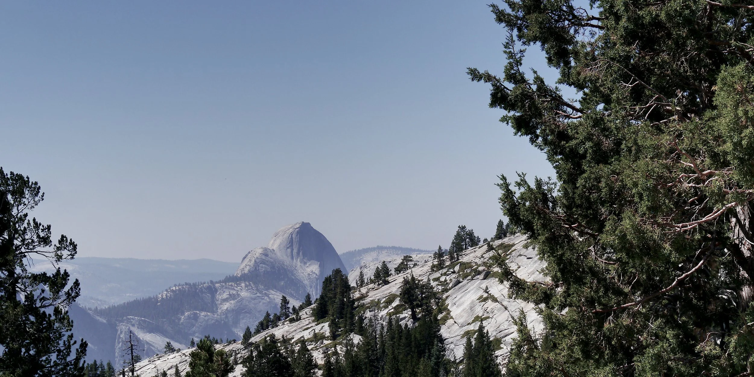 P1070285_YosemiteC.jpg