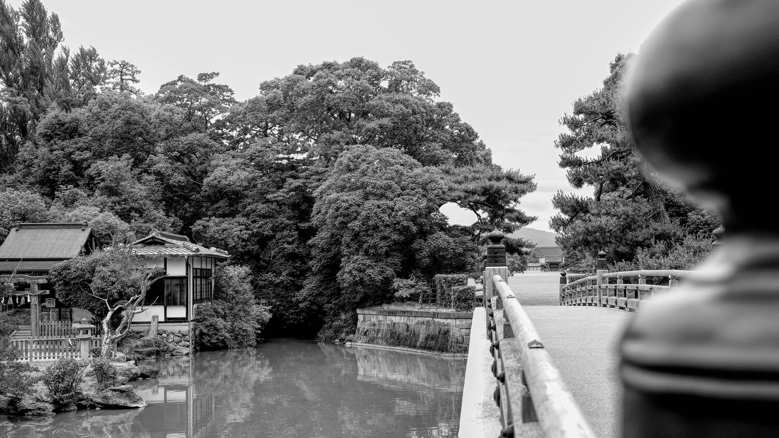 B&W_D3_KImperialPark_AF171384.jpg