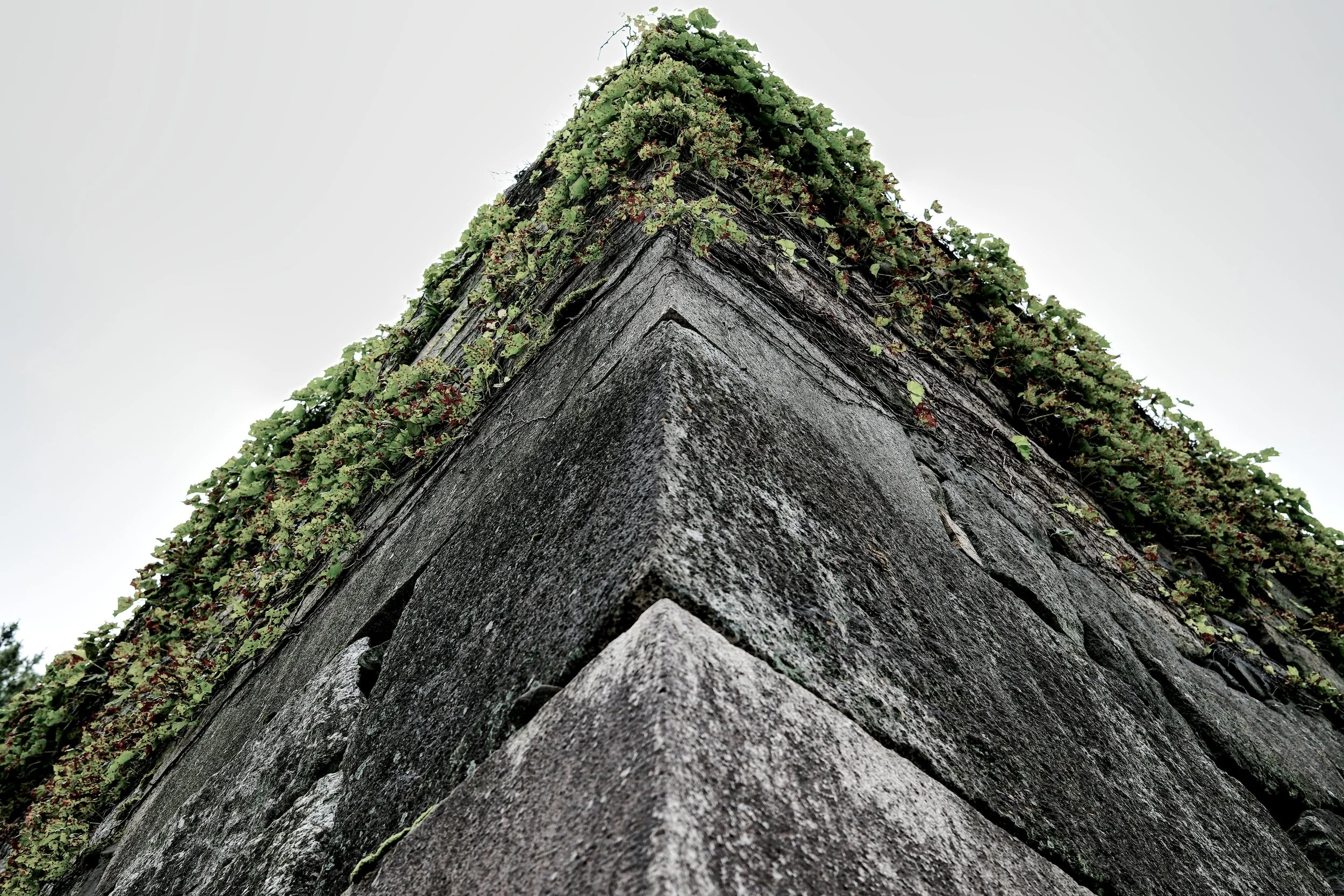 AF060232_Wall.jpg