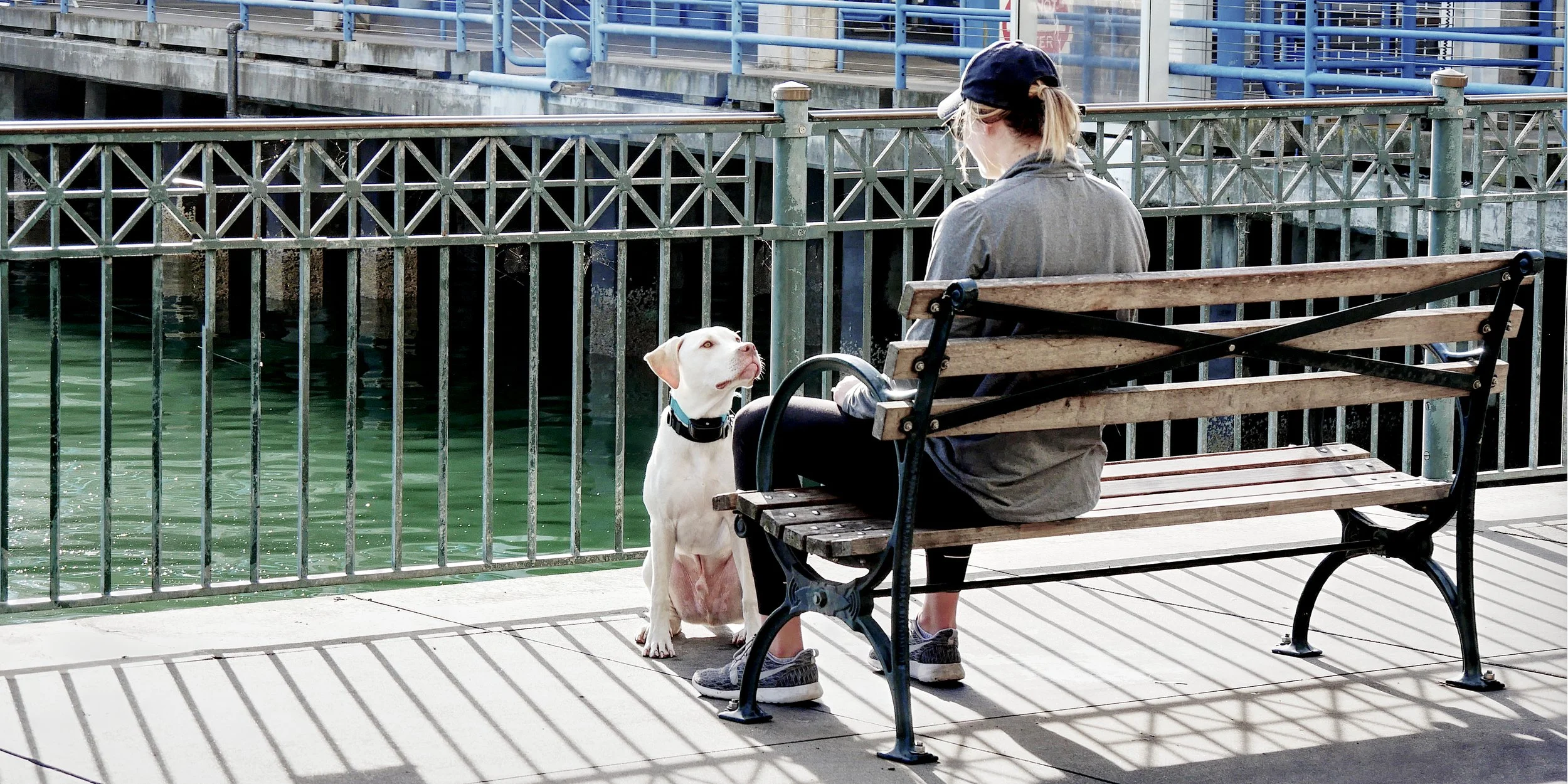 P1030556_DogAndMaster.jpg